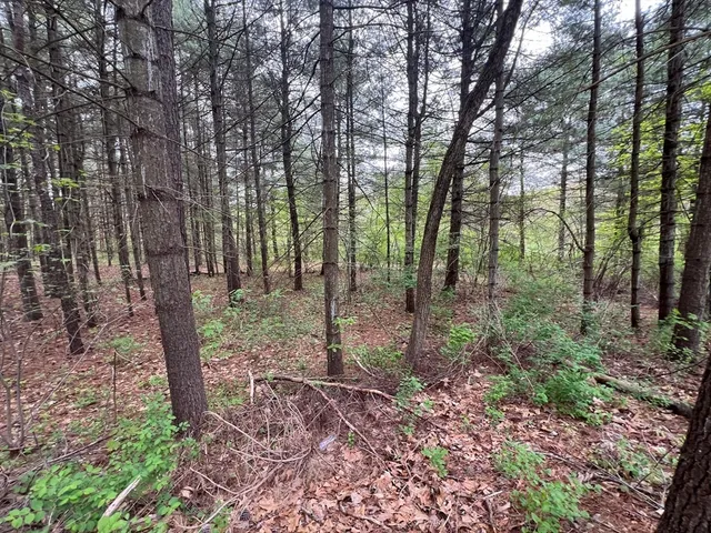 a view of outdoor space with lots of trees