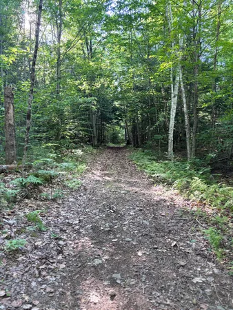 $350,000 | Lot #22 Streaked Mountain Road, Buckfield, ME 04220