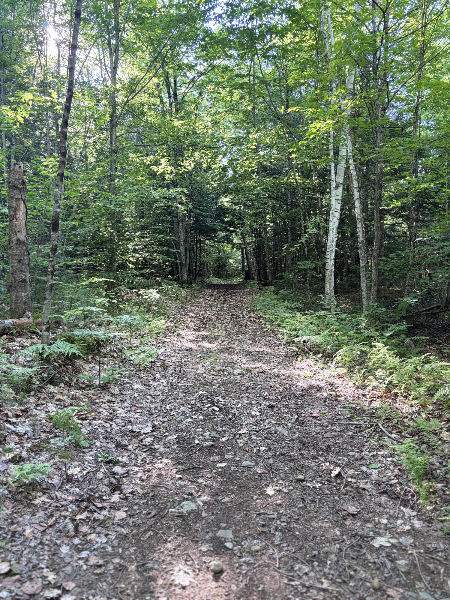 Lot #22 Streaked Mountain Road Buckfield, ME 04220 - Photo 1 of 14 image1