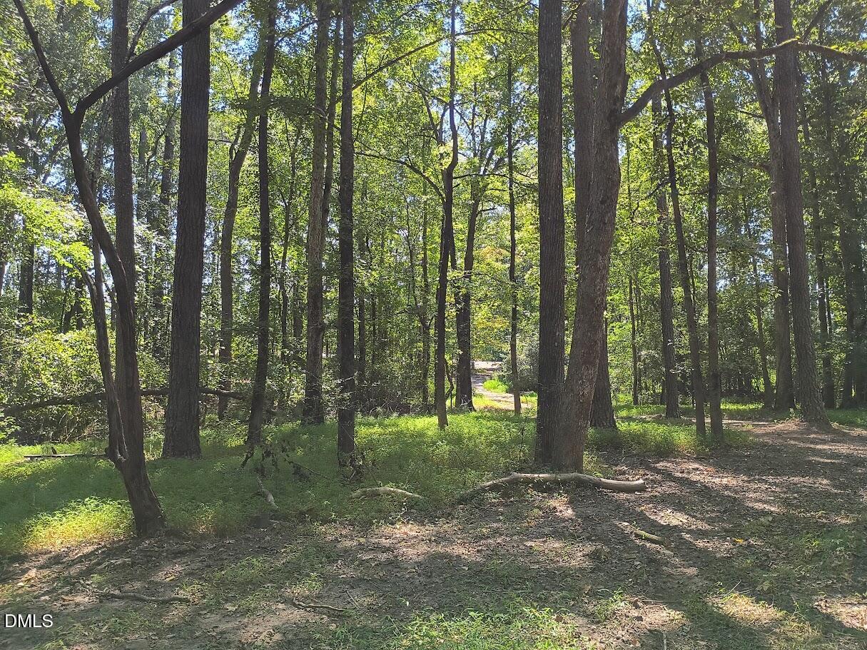 4320 Green Level W Road Apex, NC 27523 - Photo 4 of 27 IMG_20250905_132550010_HDR