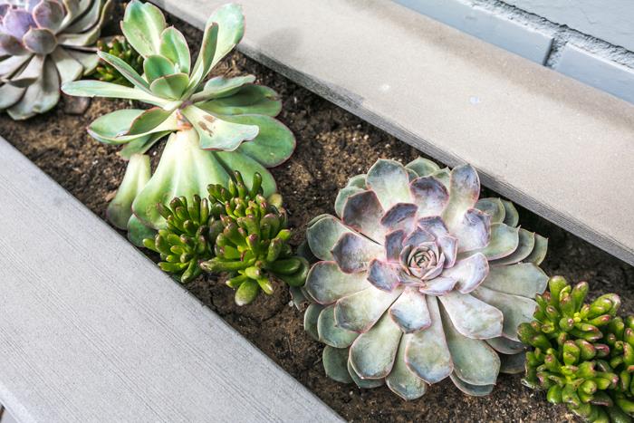 1324 Flicker Way Sunnyvale, CA 94087 - Photo 29 of 33