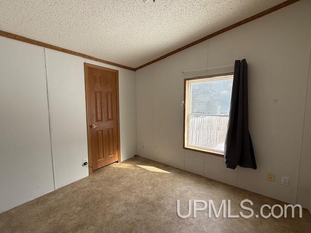 101 Hill Farm Road Crystal Falls, MI 49920 - Photo 13 of 24
