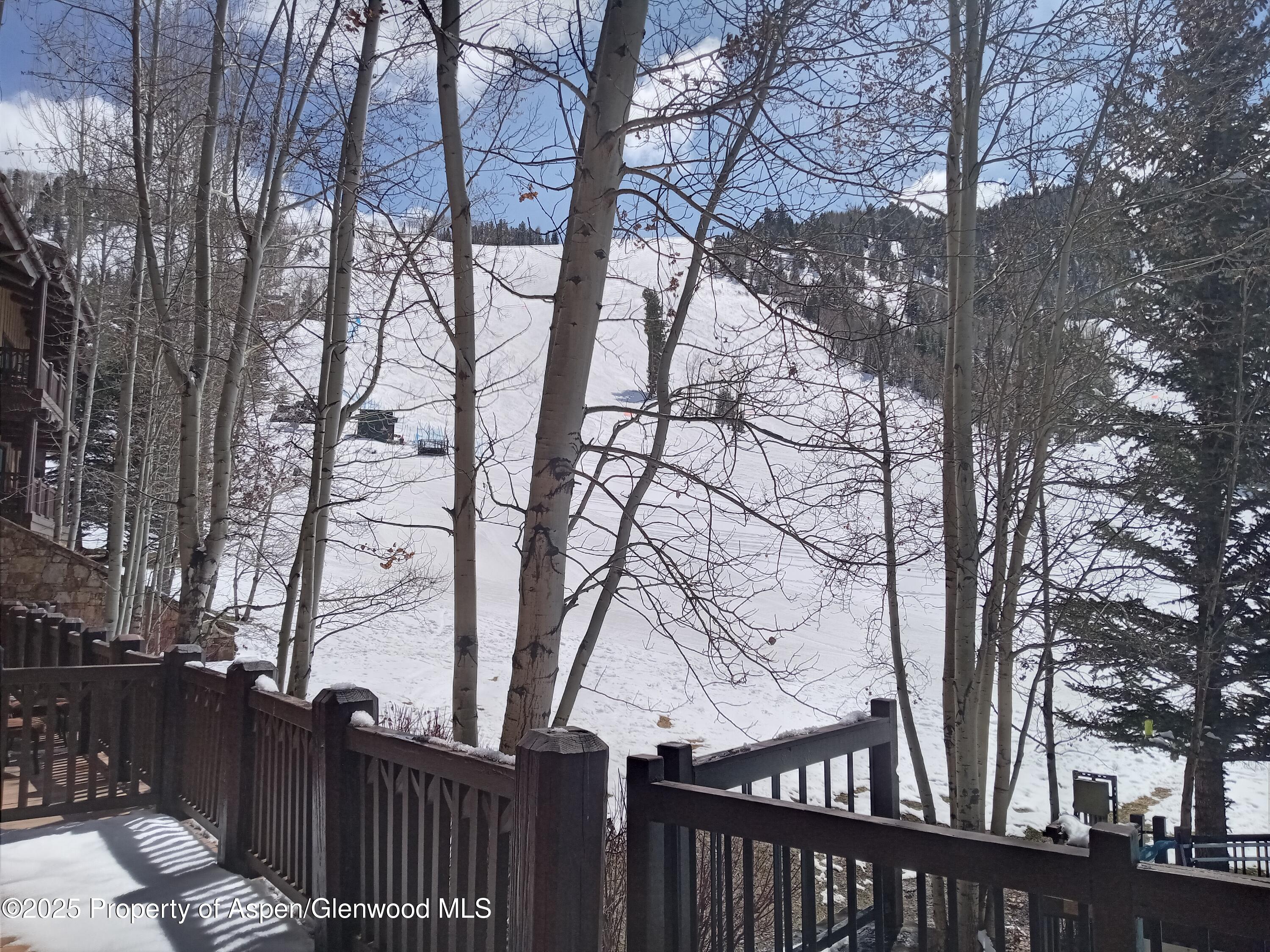 197 Prospector Road, Unit 2405 SUMMER INTEREST 12 Aspen, CO 81611 - Photo 18 of 24 a view of a yard with large trees