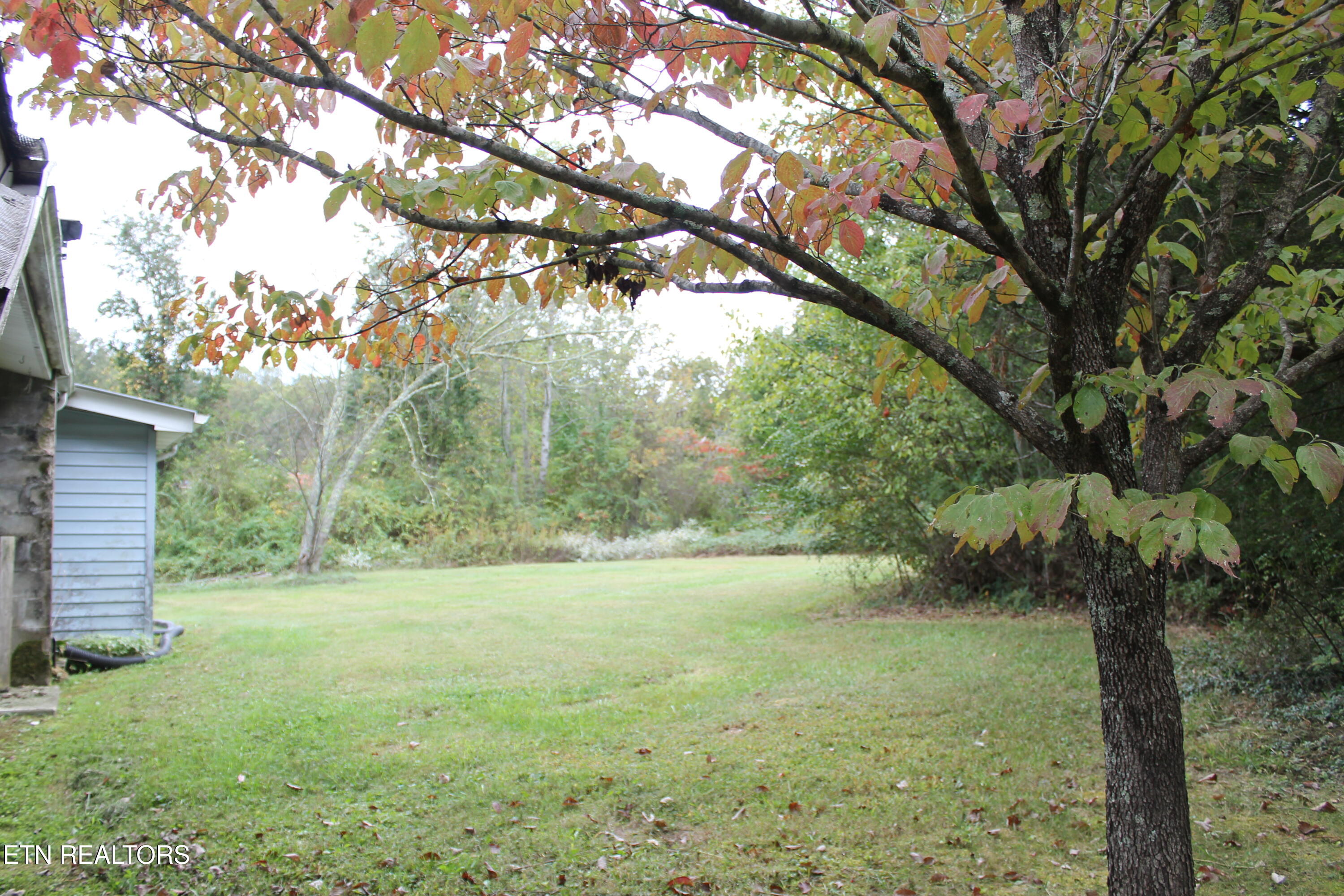 554 Mary Cromwell Road Jamestown, TN 38556 - Photo 31 of 43 IMG_7894