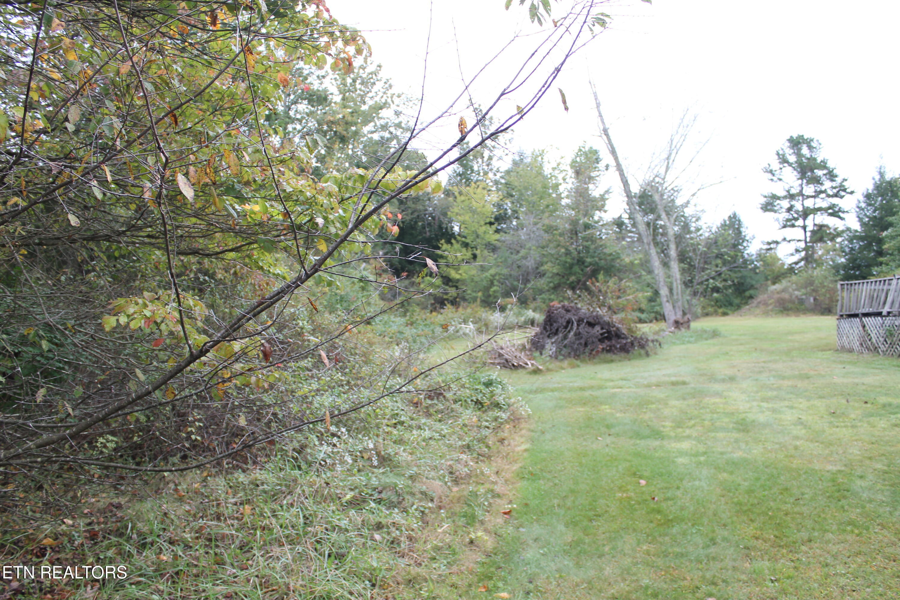 554 Mary Cromwell Road Jamestown, TN 38556 - Photo 39 of 43 IMG_7909