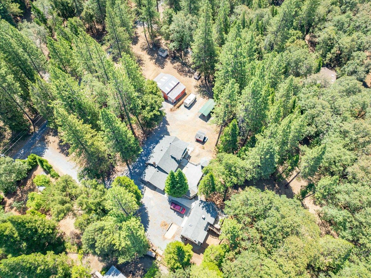 4380 Slodusty Road Garden Valley, CA 95633 - Photo 3 of 63