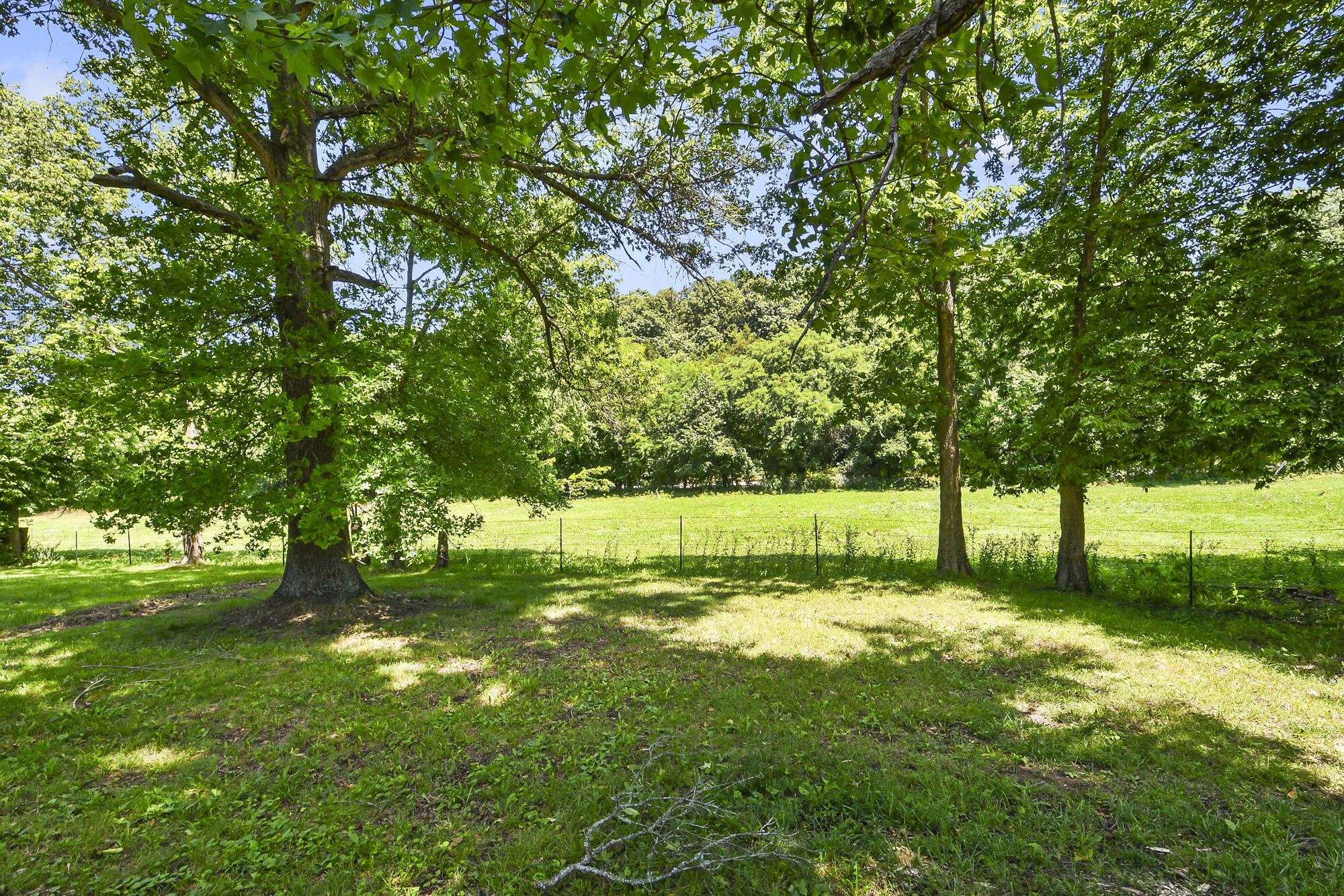 533 Ghan Road Clever, MO 65631 - Photo 52 of 57 533 Ghan Rd