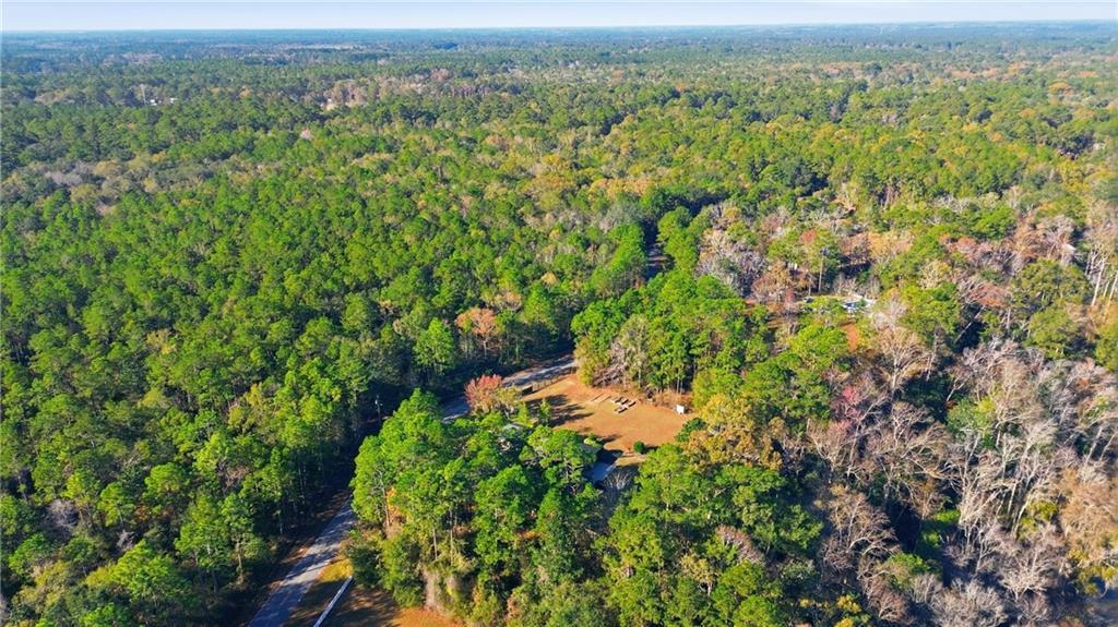 500 Altamaha Road Jesup, GA 31545 - Photo 90 of 96 Photo 92