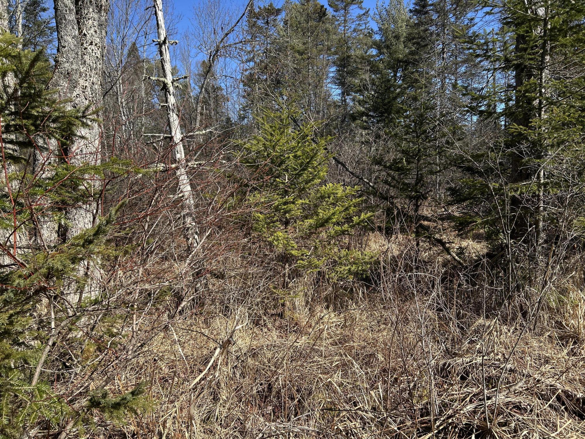 365 Cushing Road Cushing, ME 04563 - Photo 25 of 32 59