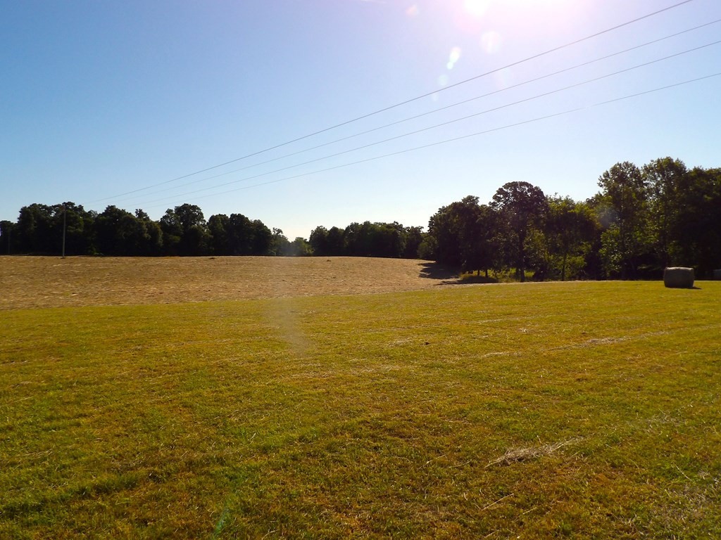 1030 Big Neck Road Grandview, TN 37337 - Photo 12 of 54 Gallery Image 12