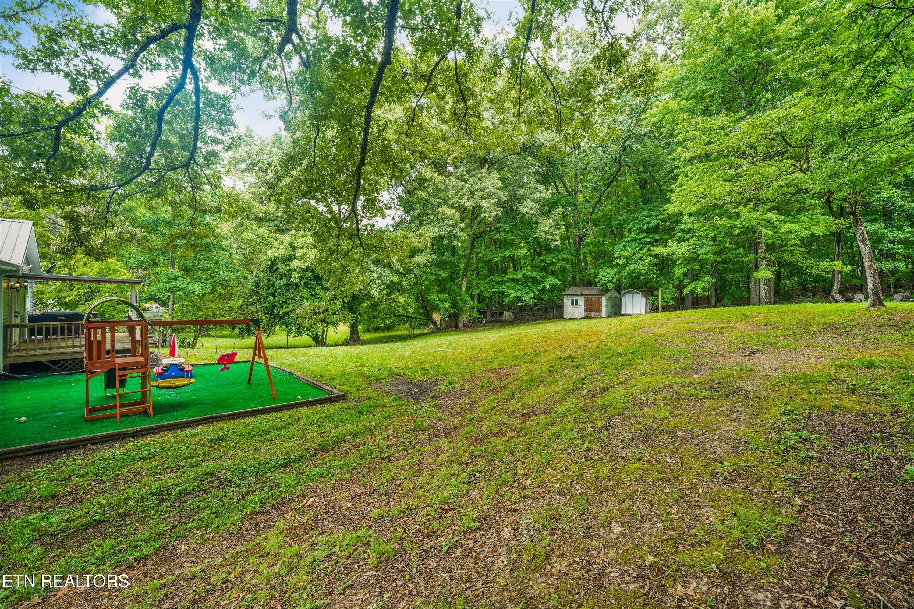 79 Reservoir Road Norris, TN 37828 - Photo 33 of 43 Back yard