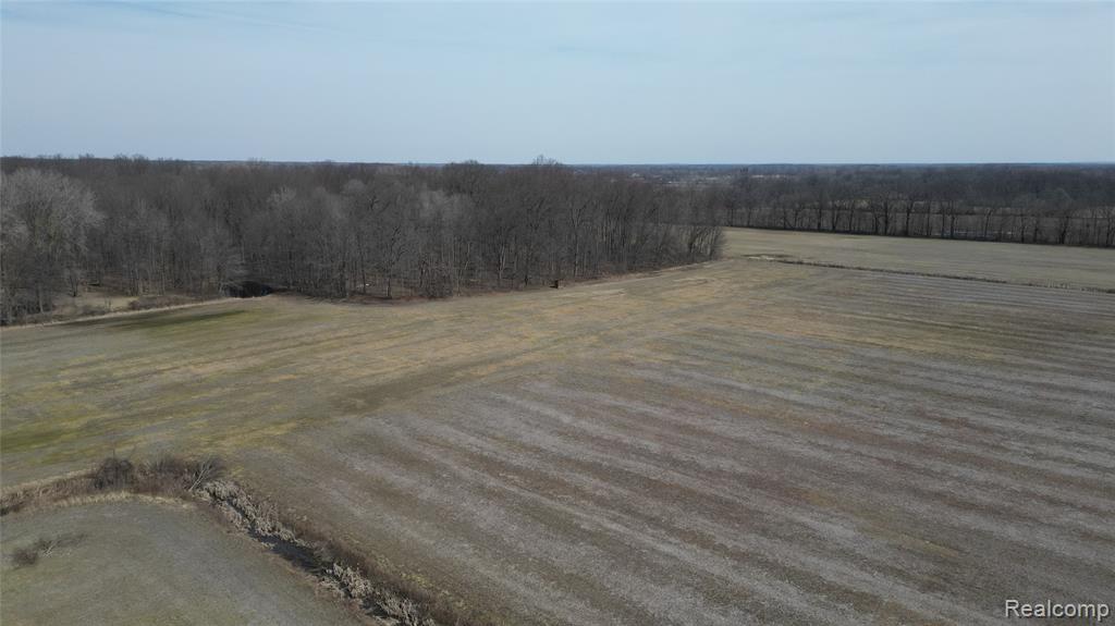 Lot #12 Kunstman Road Ray, MI 48096 - Photo 1 of 15