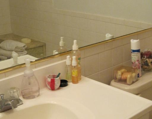 22603 Southwest 54th Way Boca Raton, FL 33433 - Photo 10 of 16 Additional Photo