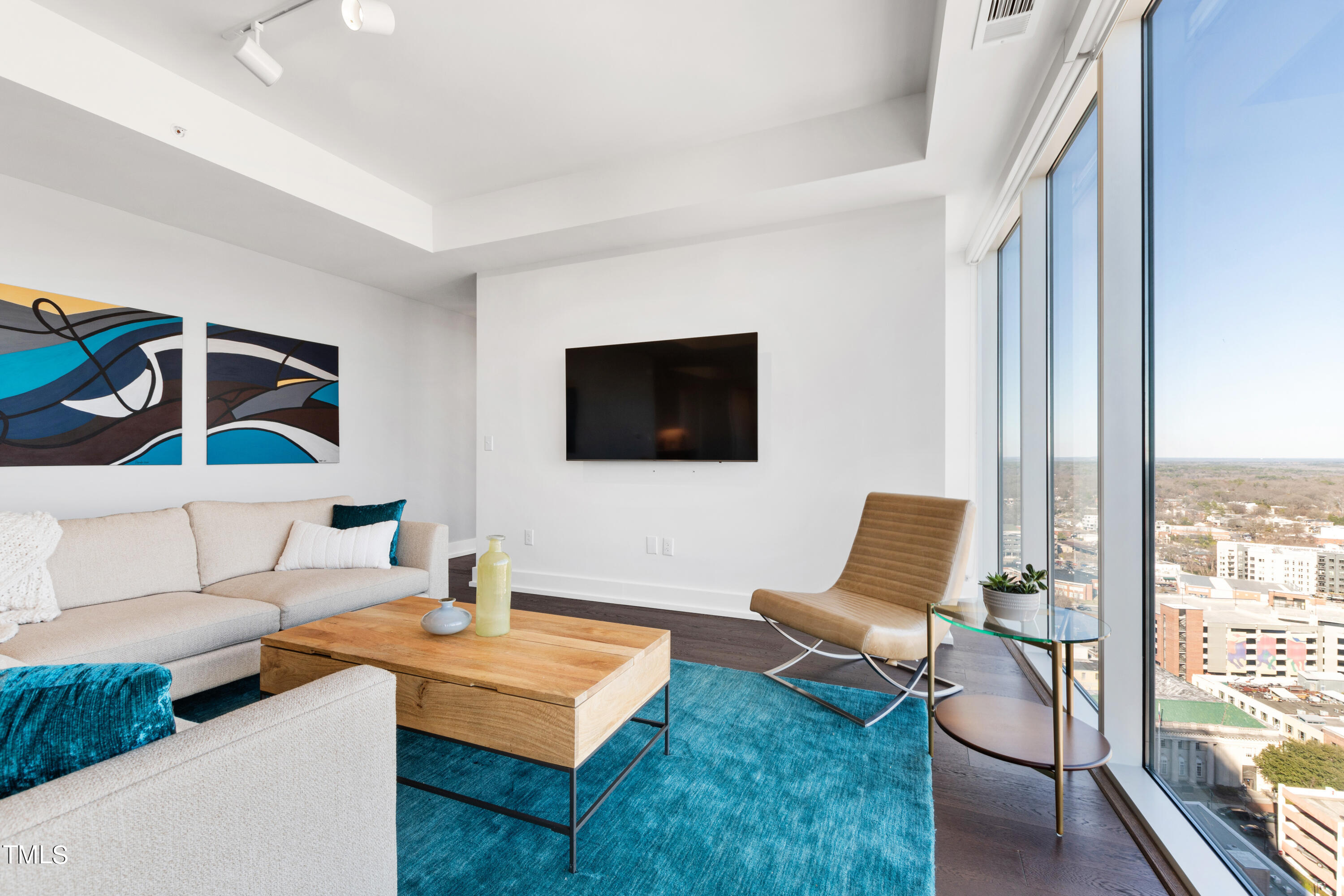 110 Corcoran Street, Unit 2204 Durham, NC 27701 - Photo 4 of 39 a living room with furniture and a flat screen tv