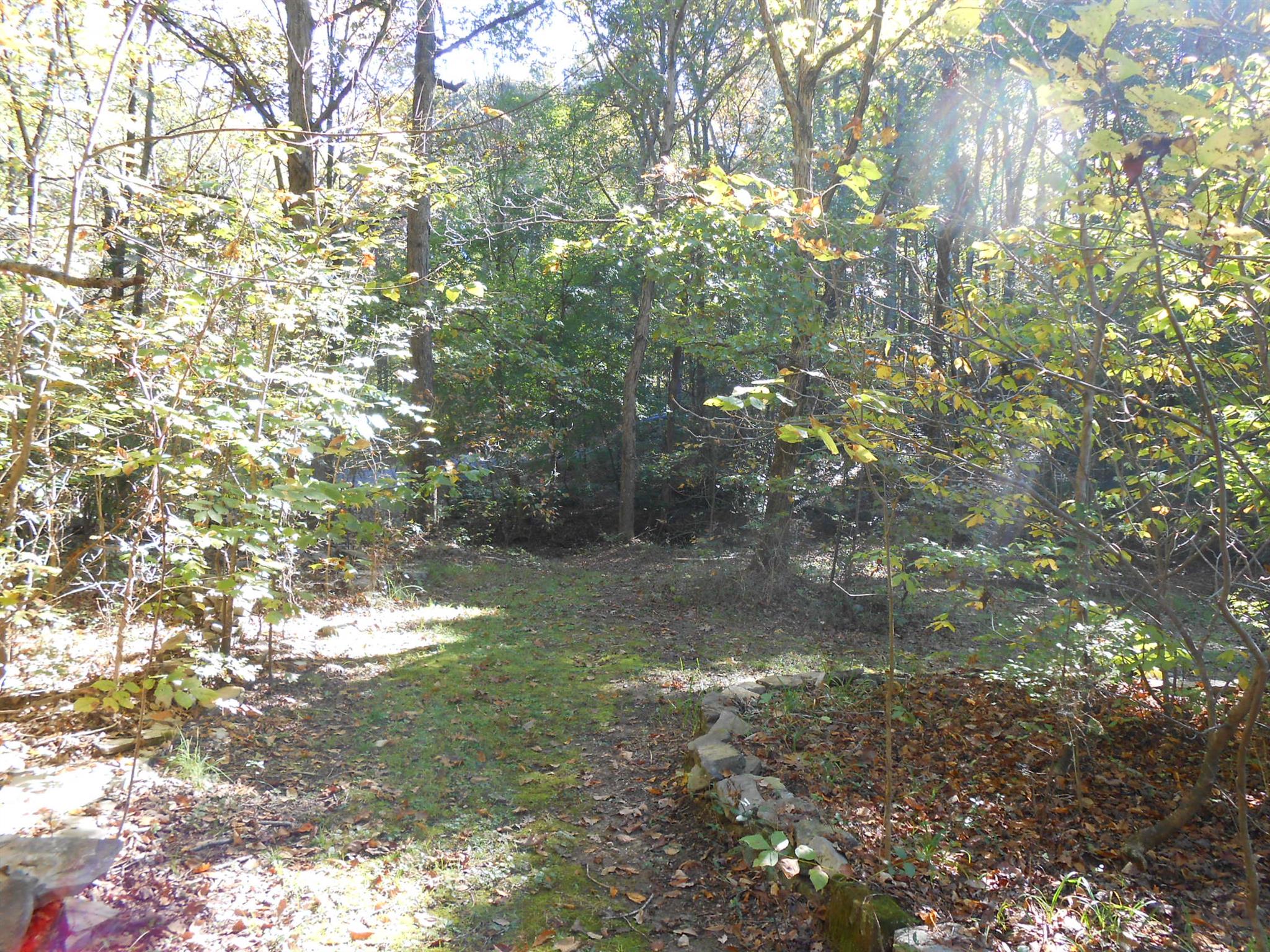 161 Mitchell Road Portland, TN 37148 - Photo 22 of 27 a view of forest