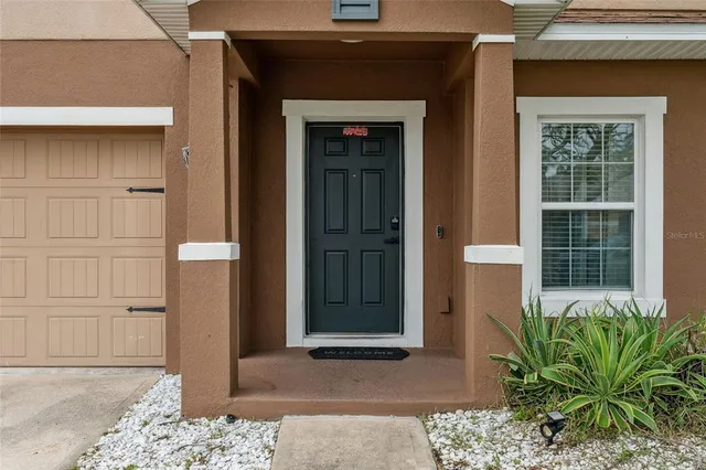 a potted plant in front of a door