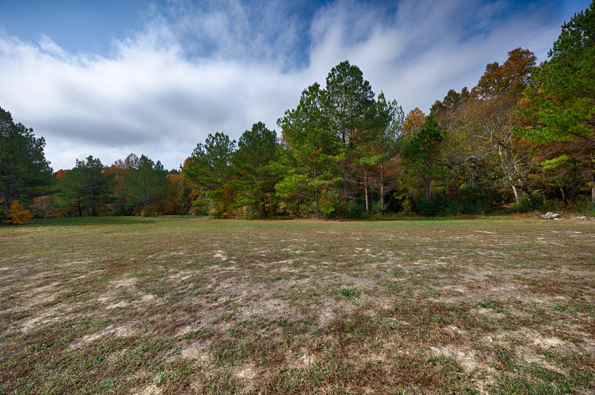 700 Kincaid Road Minor Hill, TN 38473 - Photo 43 of 47