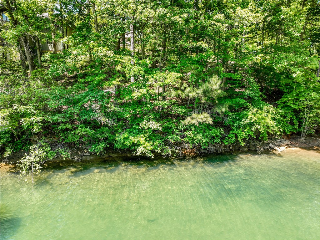 164 Wild Azalea Point Seneca, SC 29672 - Photo 21 of 31