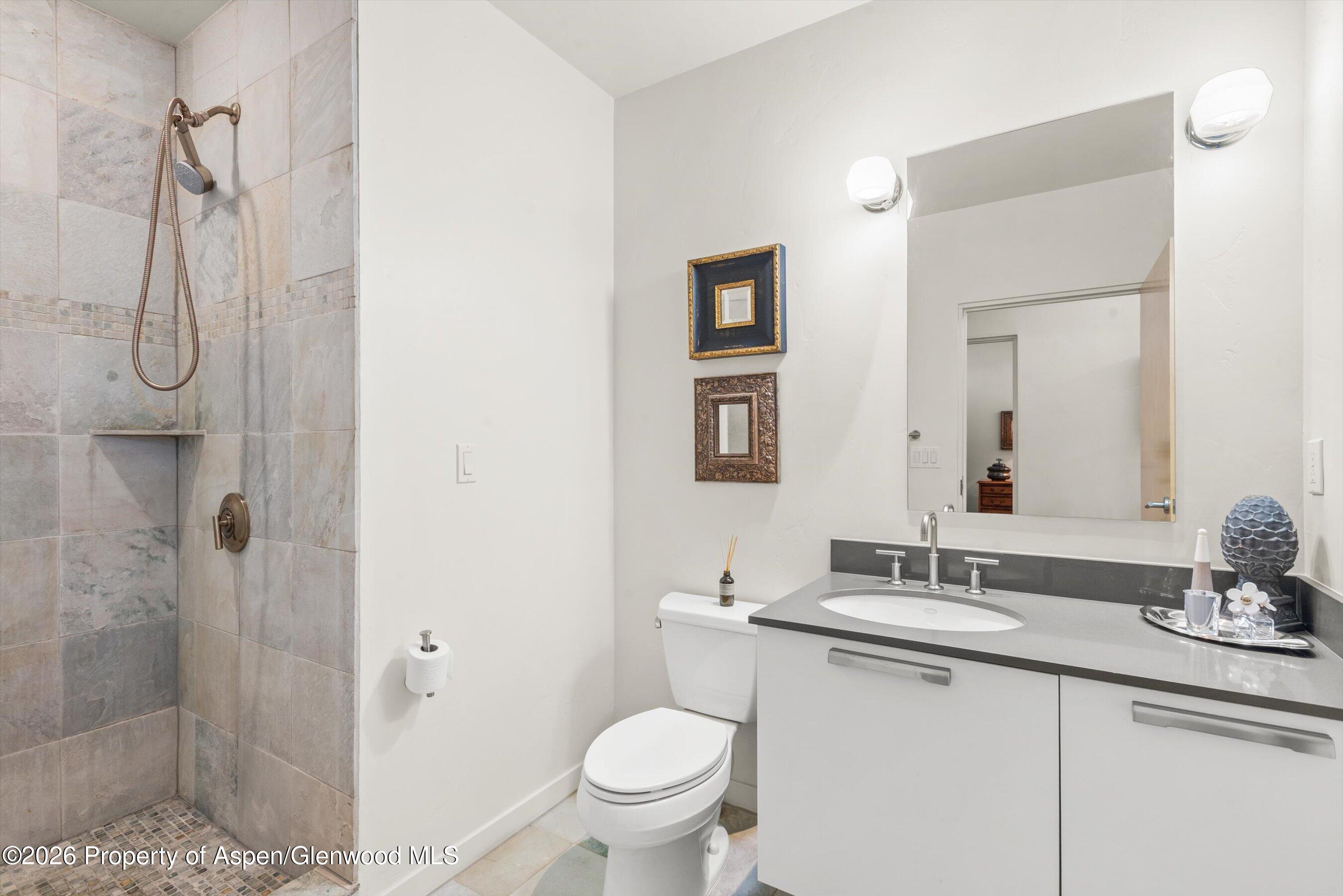 231 Robinson Street, Unit R318 Basalt, CO 81621 - Photo 12 of 23 Guest bathroom