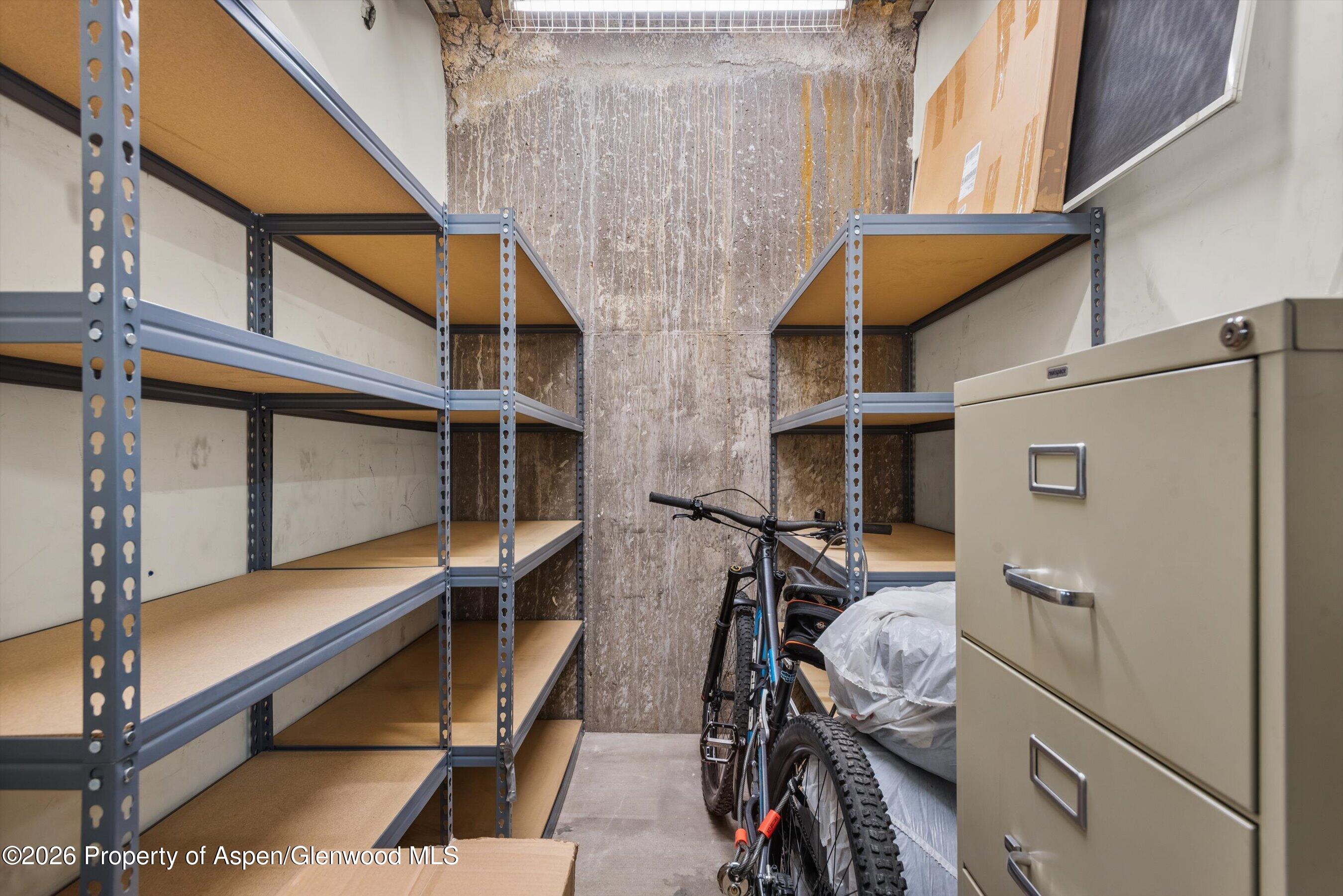 231 Robinson Street, Unit R318 Basalt, CO 81621 - Photo 14 of 23 Private storage room