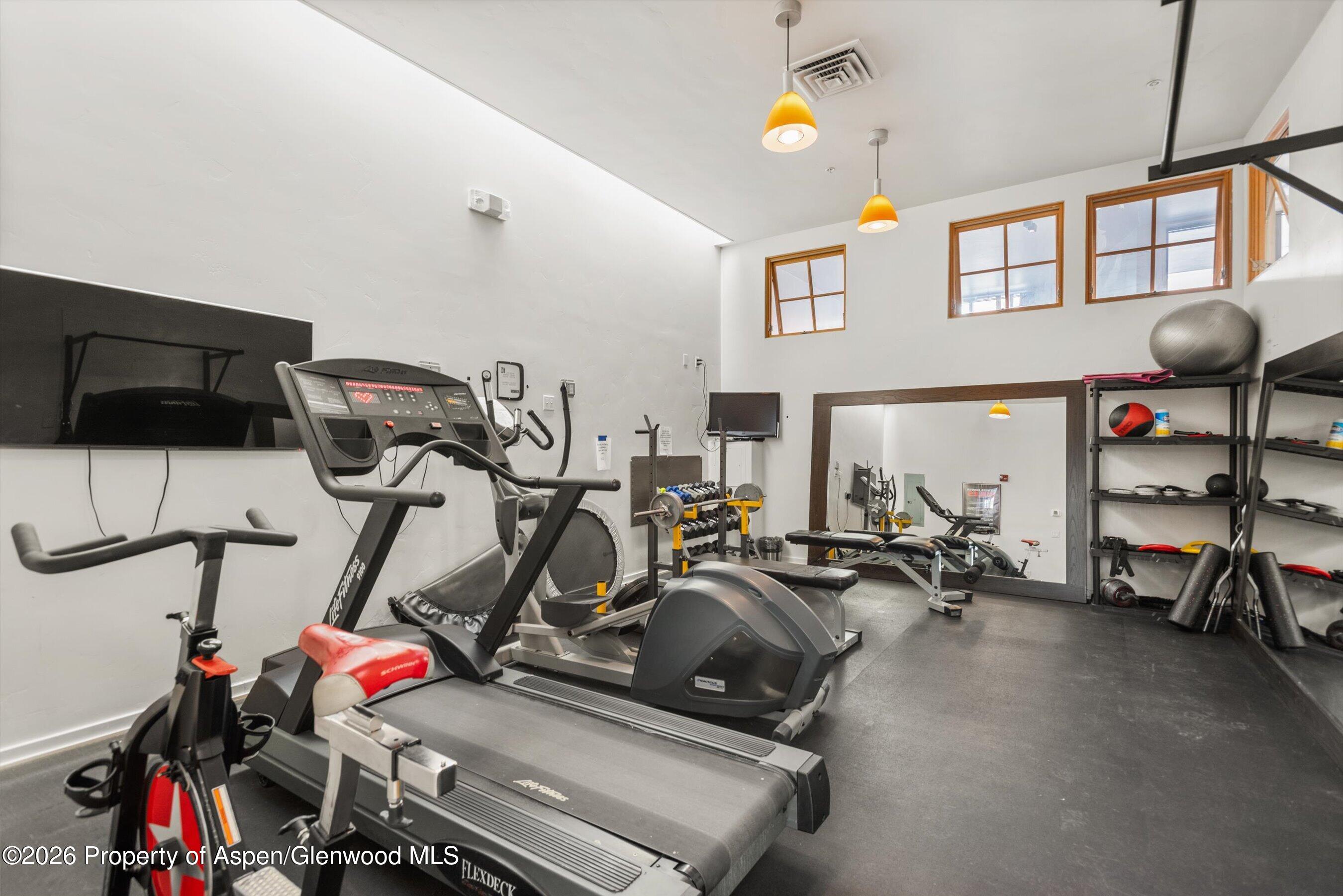 231 Robinson Street, Unit R318 Basalt, CO 81621 - Photo 15 of 23 In-complex Gym