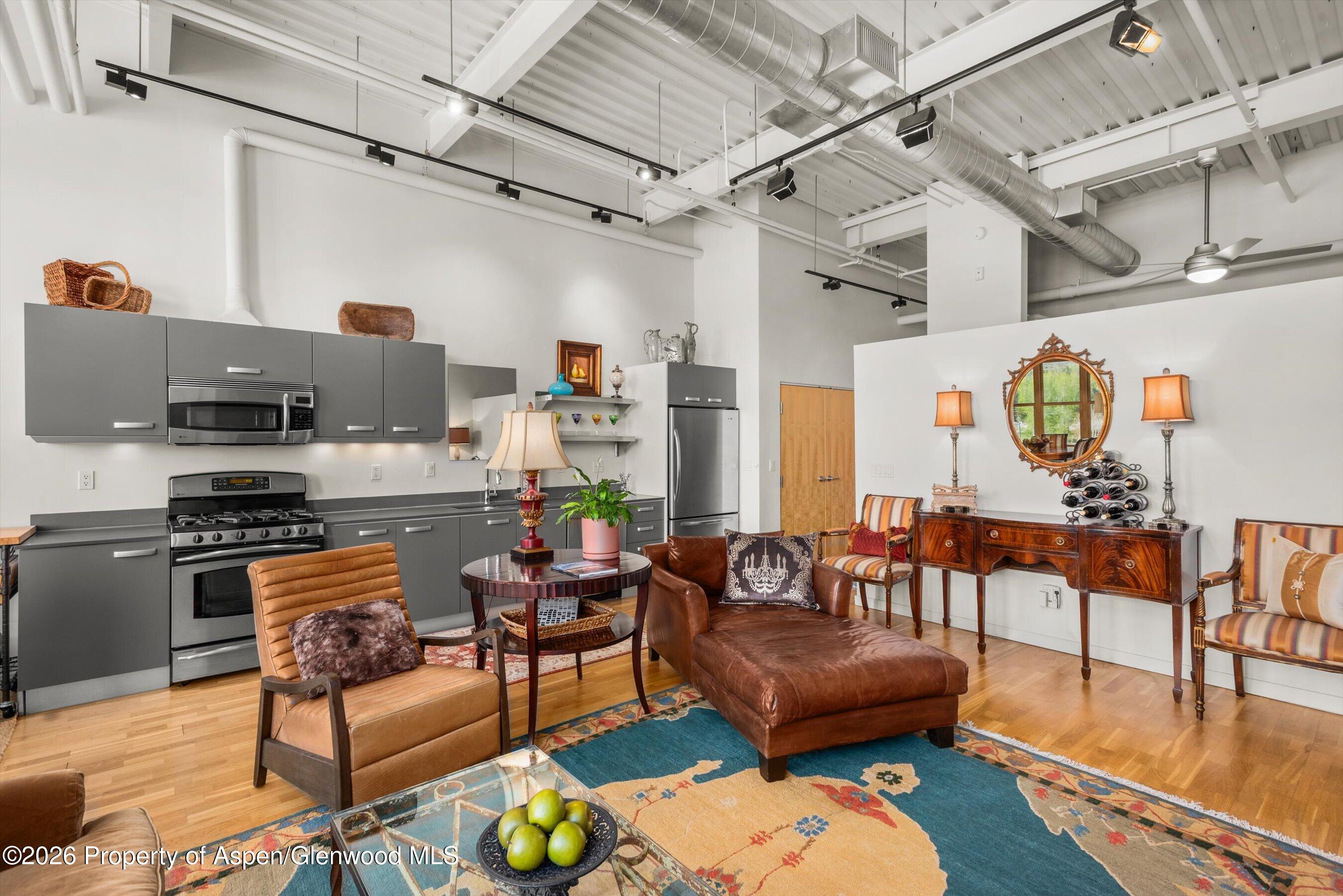 231 Robinson Street, Unit R318 Basalt, CO 81621 - Photo 3 of 23 Loft vibes