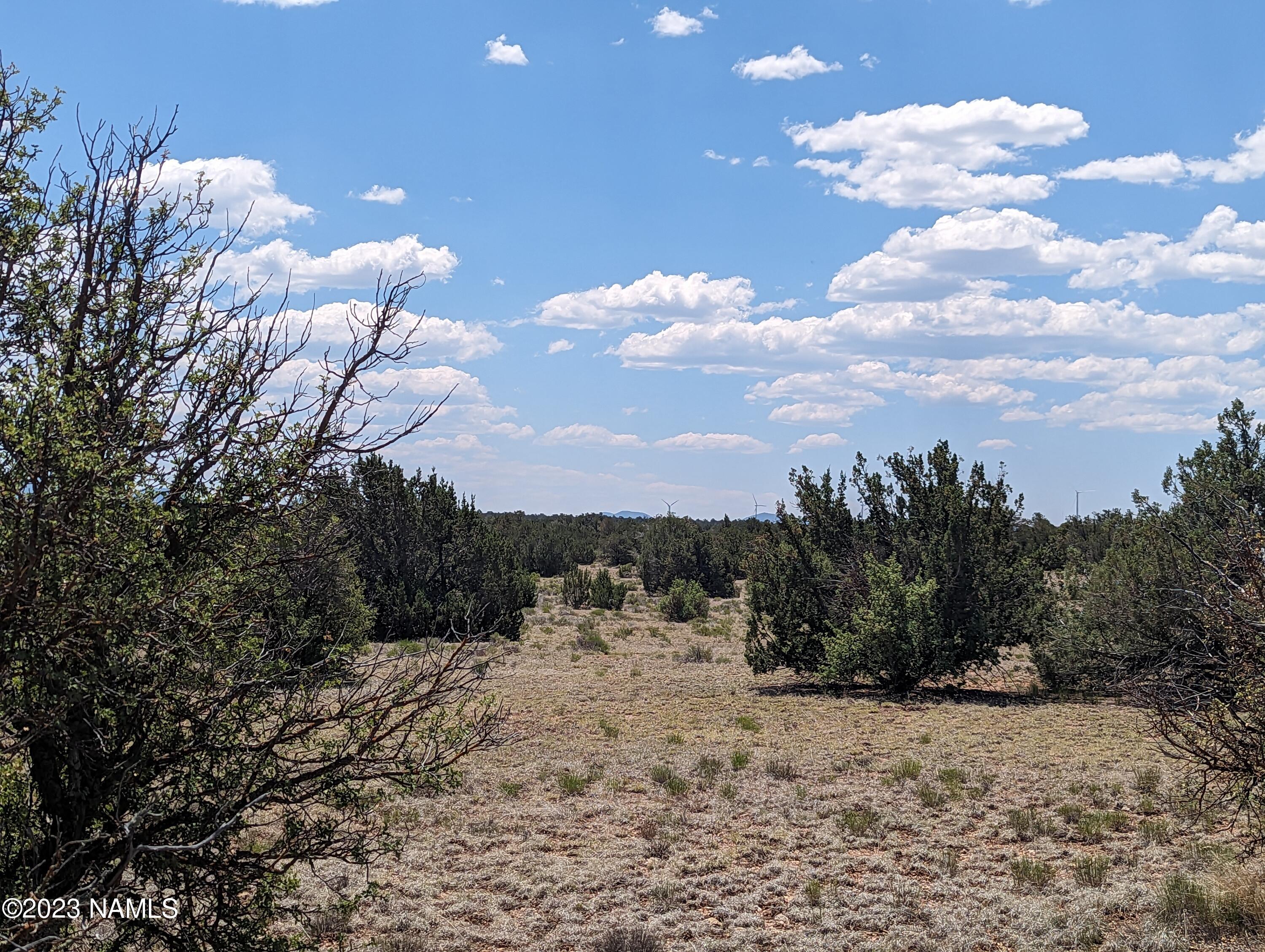 10422 West Red Bluff Road, Unit 628 Williams, AZ 86046 - Photo 2 of 8 10422 Red Bluff Rd