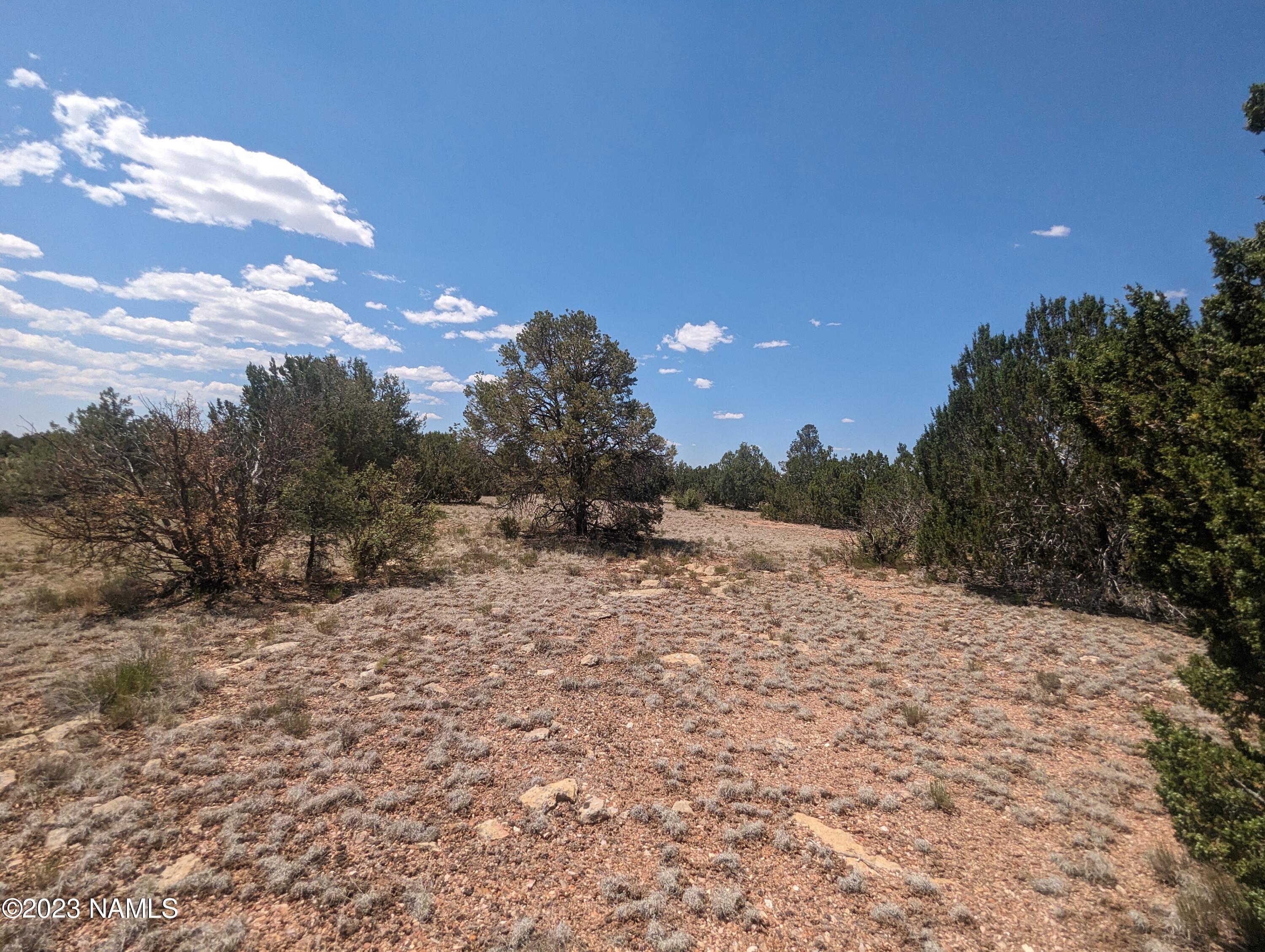 10422 West Red Bluff Road, Unit 628 Williams, AZ 86046 - Photo 3 of 8 PXL_20230702_181521562