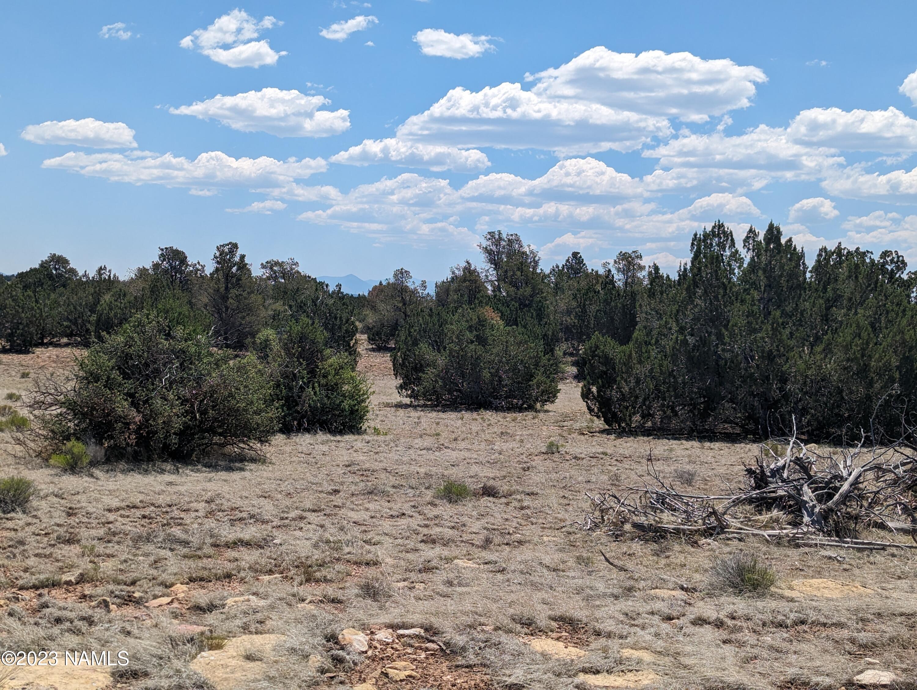 10422 West Red Bluff Road, Unit 628 Williams, AZ 86046 - Photo 5 of 8 PXL_20230702_180605913