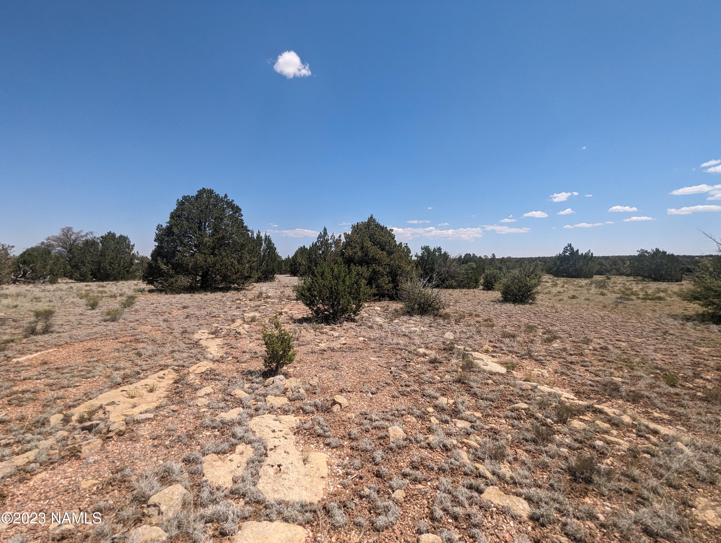 10422 West Red Bluff Road, Unit 628 Williams, AZ 86046 - Photo 7 of 8 PXL_20230702_181523893
