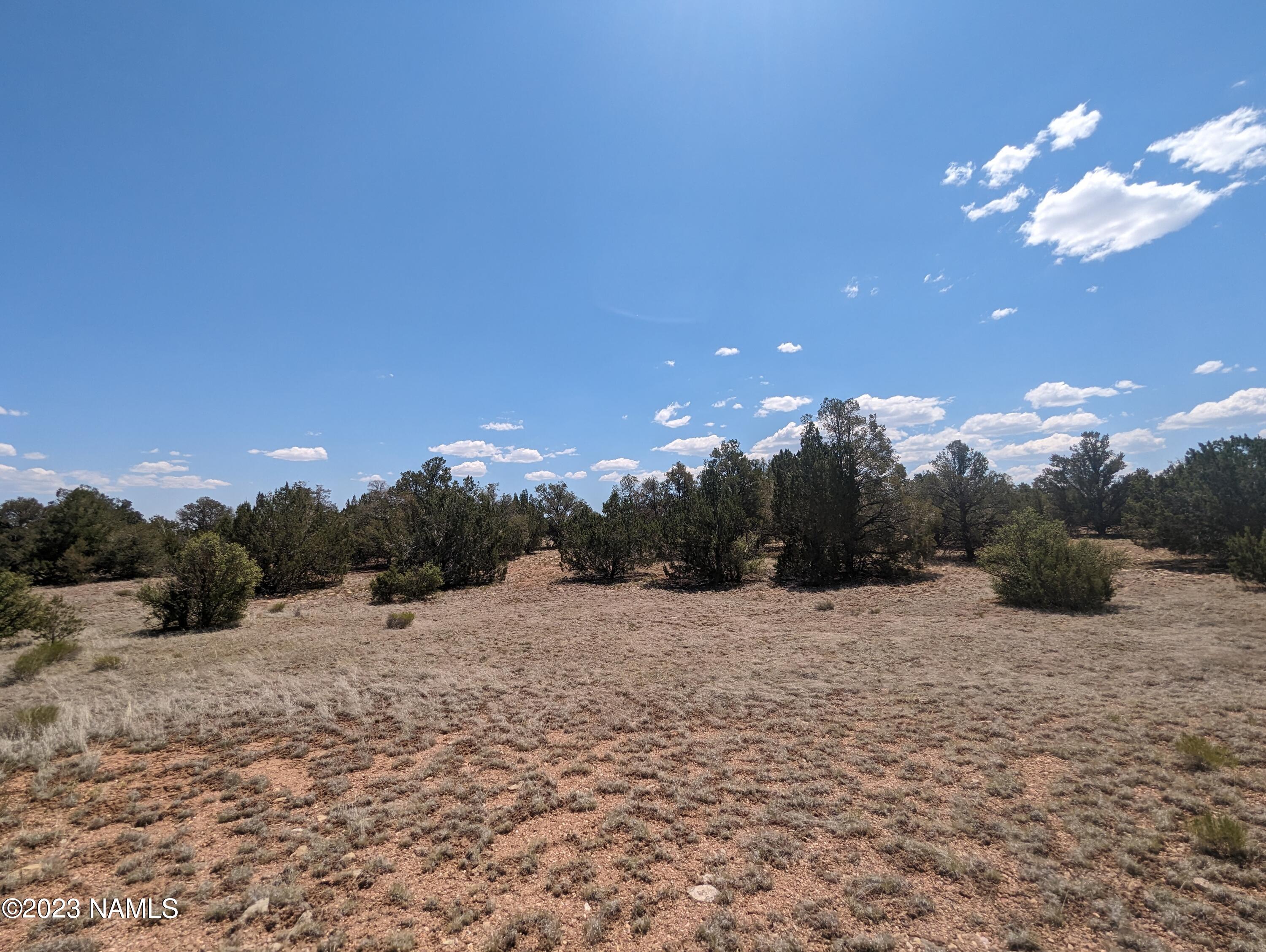 10422 West Red Bluff Road, Unit 628 Williams, AZ 86046 - Photo 8 of 8 PXL_20230702_180720752