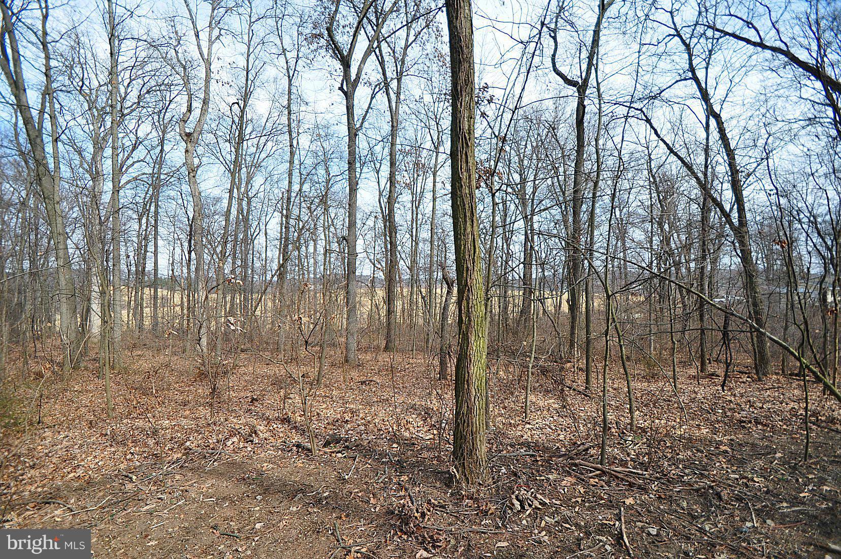 1451 Warehime Road Westminster, MD 21158 - Photo 30 of 30 View