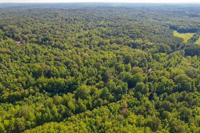 an aerial view of residential houses with outdoor space and trees