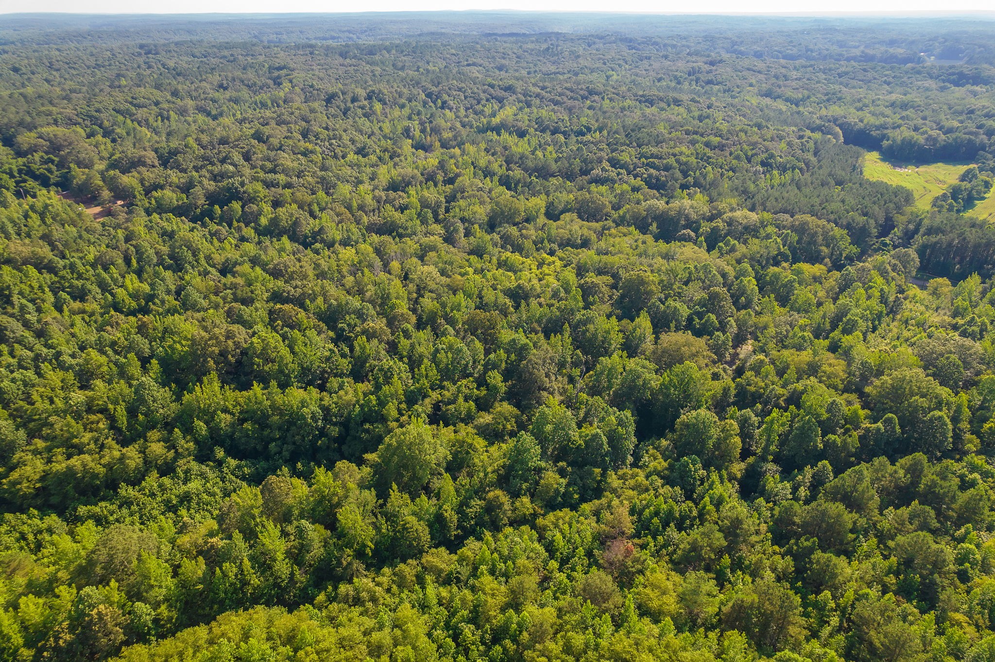 0 Foster Road Middleton, TN 38052 - Photo 11 of 18 an aerial view of residential houses with outdoor space and trees