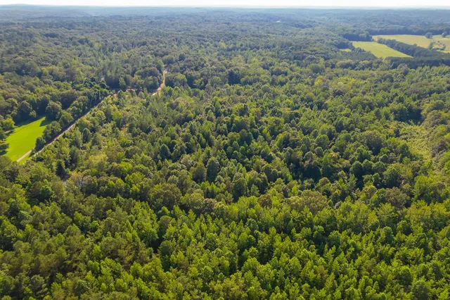 an aerial view of residential house with outdoor space