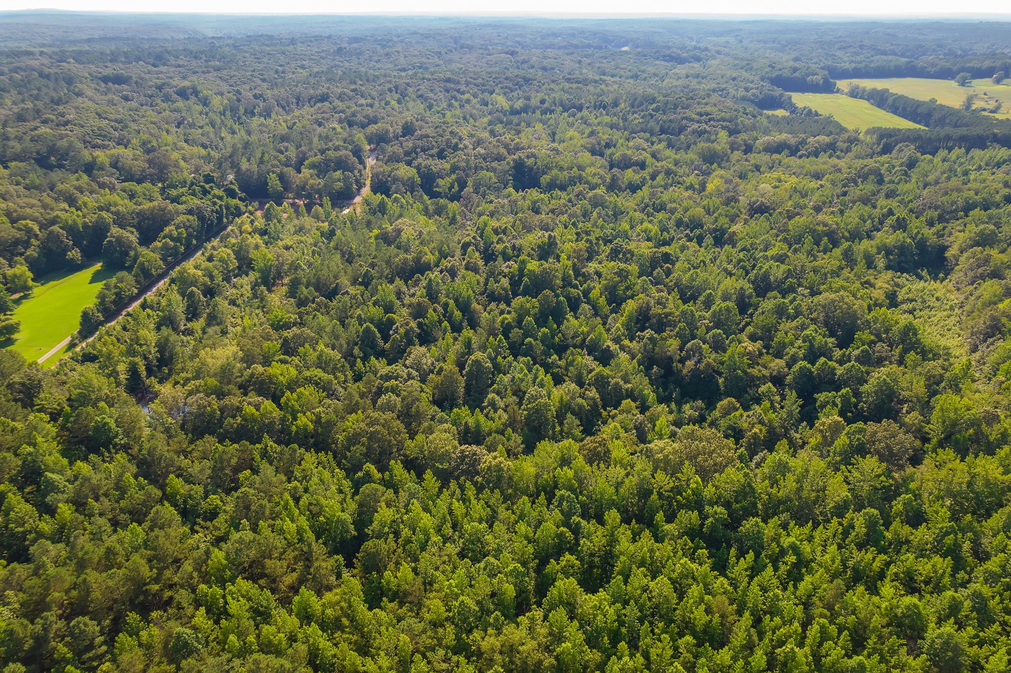 0 Foster Road Middleton, TN 38052 - Photo 12 of 18 an aerial view of residential house with outdoor space
