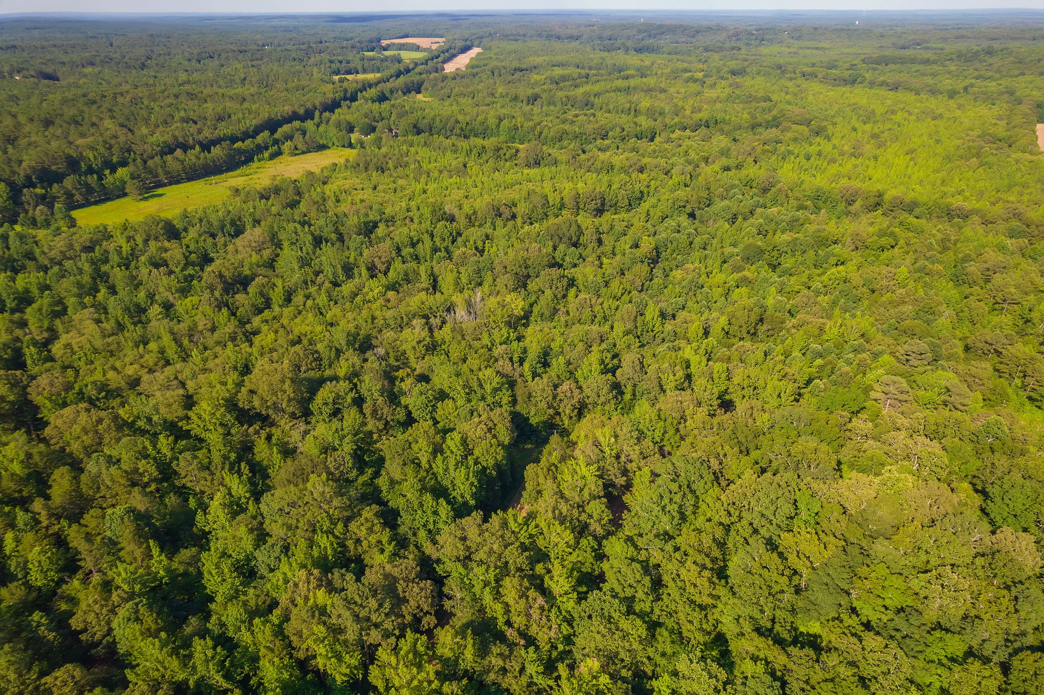 0 Foster Road Middleton, TN 38052 - Photo 2 of 18 a view of a field with an ocean