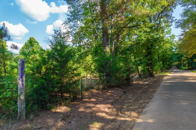 a view of a road with trees in the background