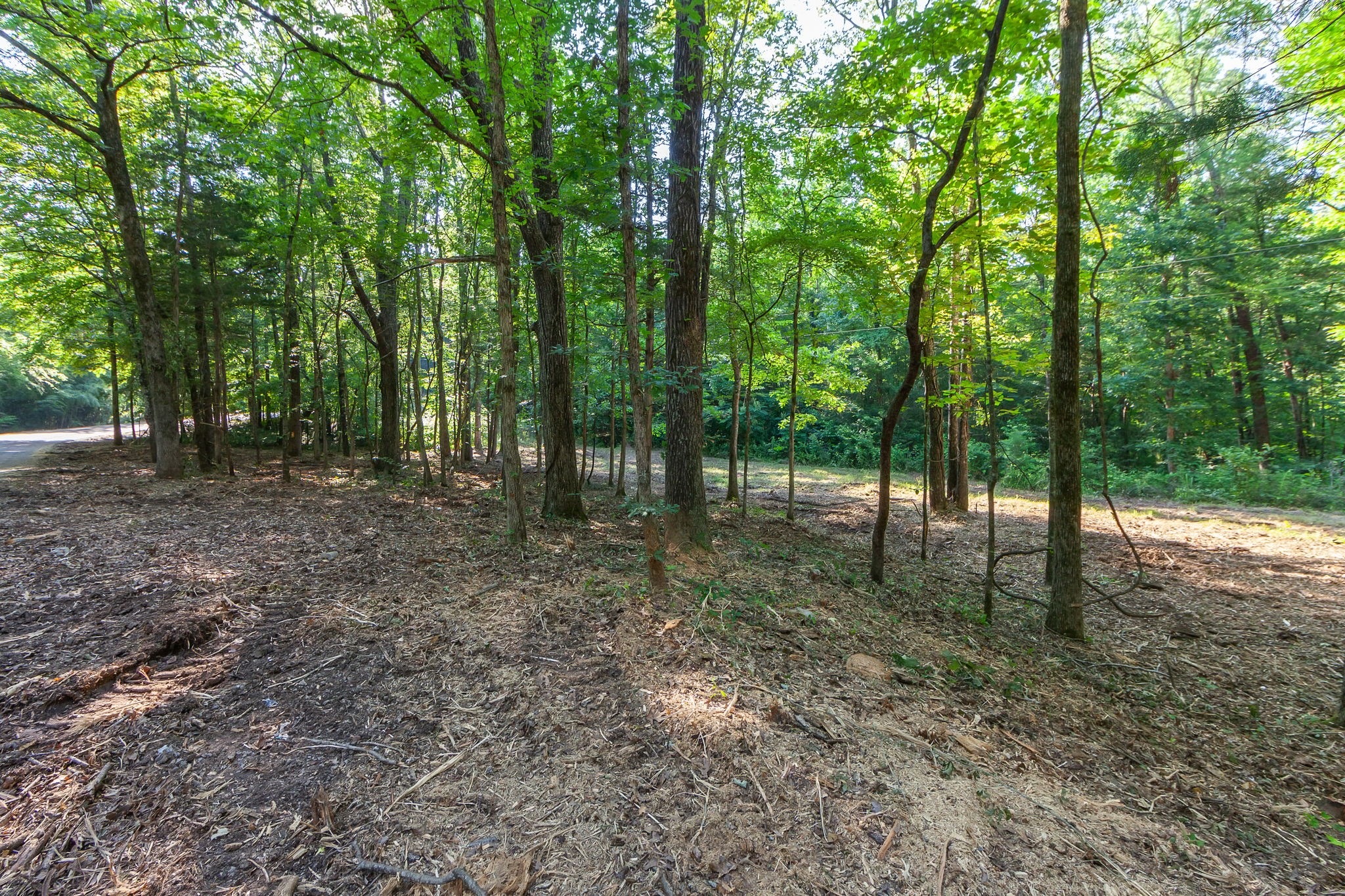 0 Foster Road Middleton, TN 38052 - Photo 6 of 18 a view of outdoor space and trees