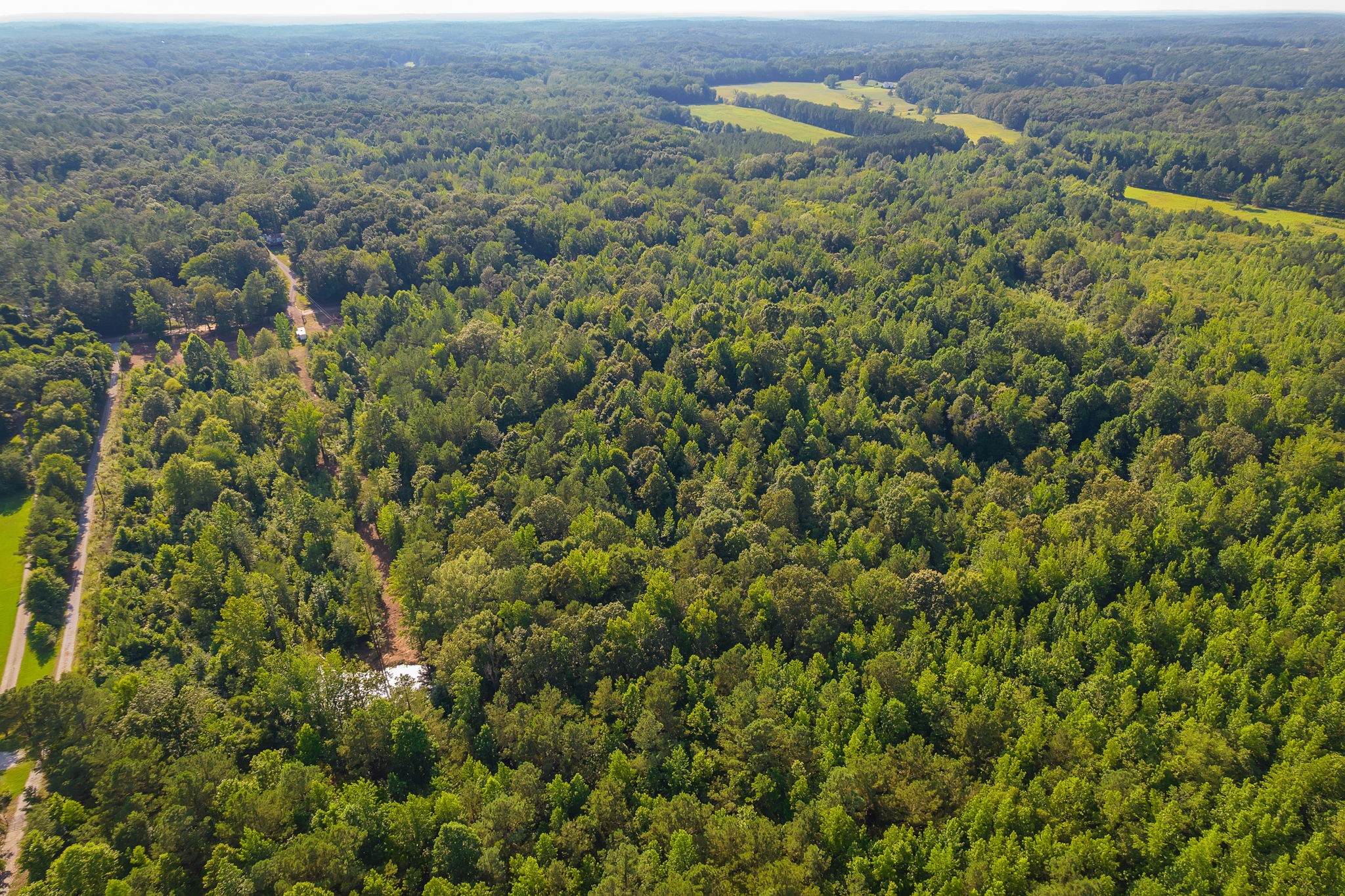 0 Foster Road Middleton, TN 38052 - Photo 9 of 18 an aerial view of a houses with a lush green hillside