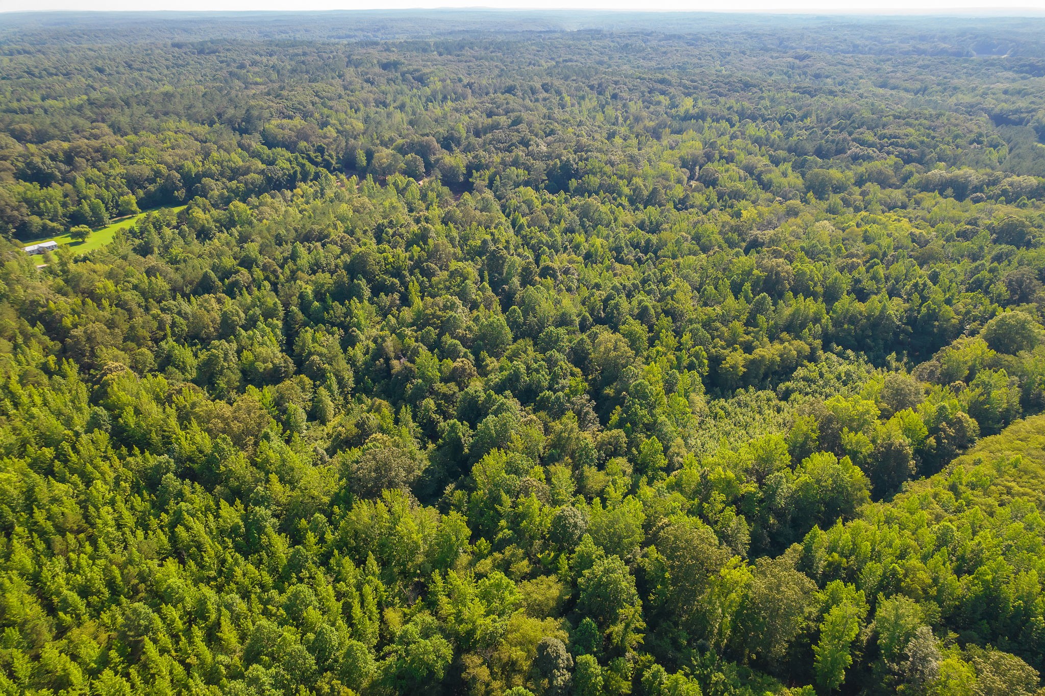 0 Foster Road Middleton, TN 38052 - Photo 10 of 18 an aerial view of residential houses with outdoor space and trees