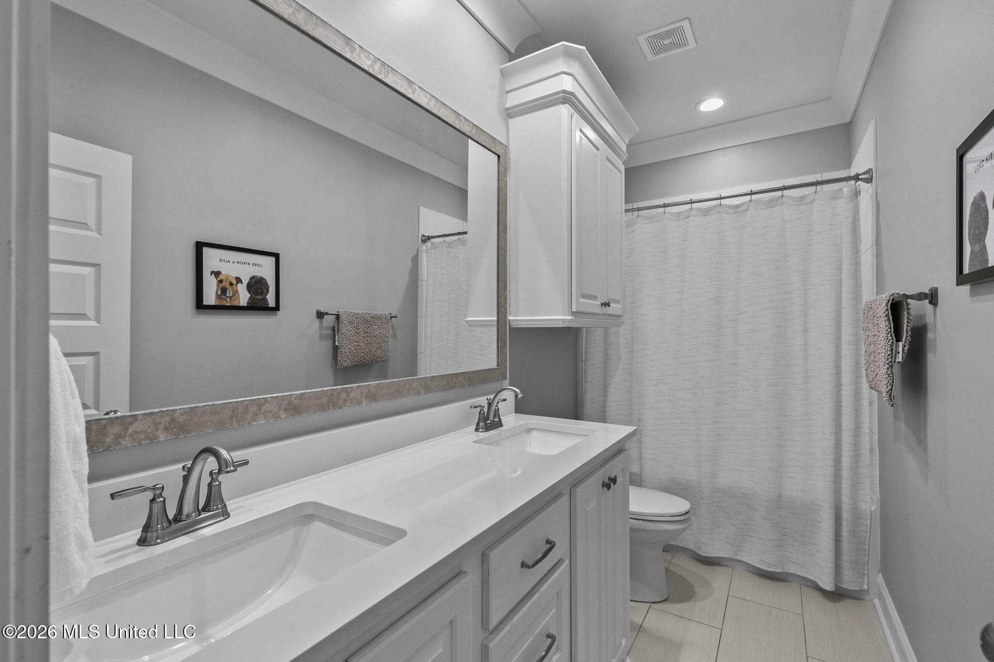 113 Bridgewater Loop Madison, MS 39110 - Photo 38 of 51 2nd bathroom