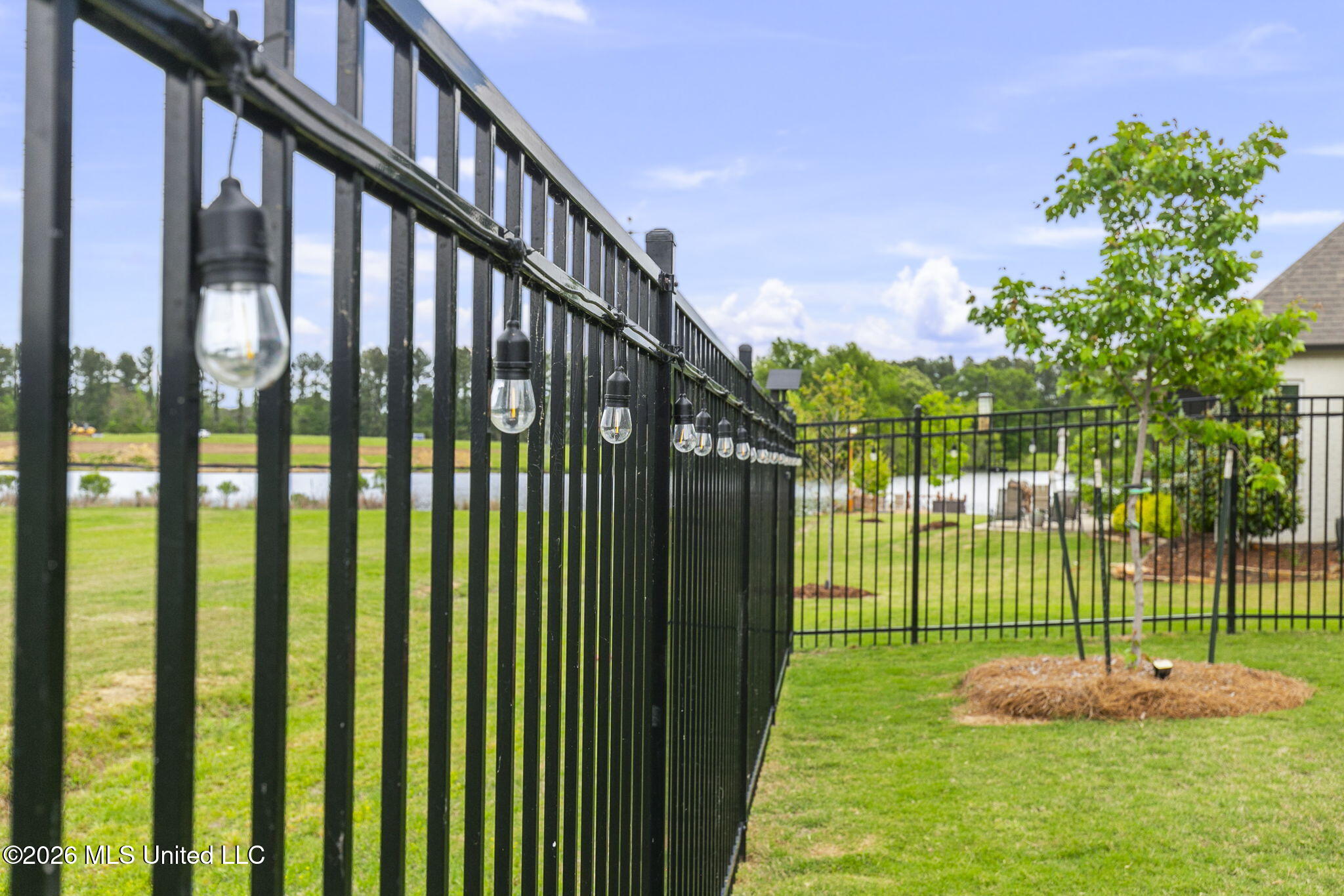 113 Bridgewater Loop Madison, MS 39110 - Photo 50 of 51 Backyard 5