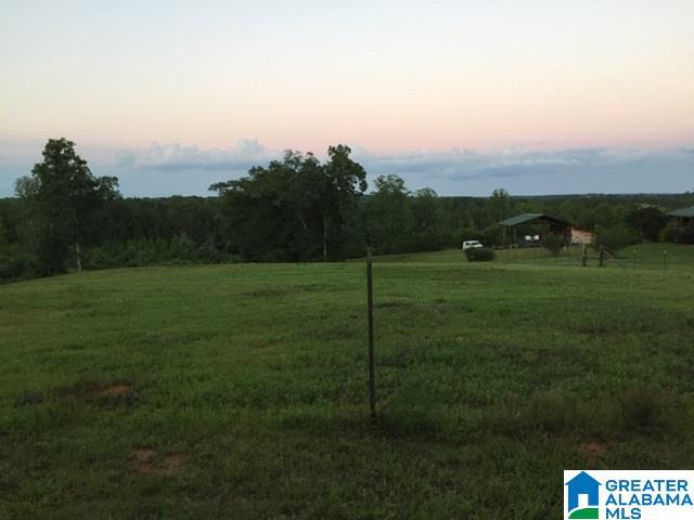 577 Wright Way Drive Wedowee, AL 36278 - Photo 34 of 39