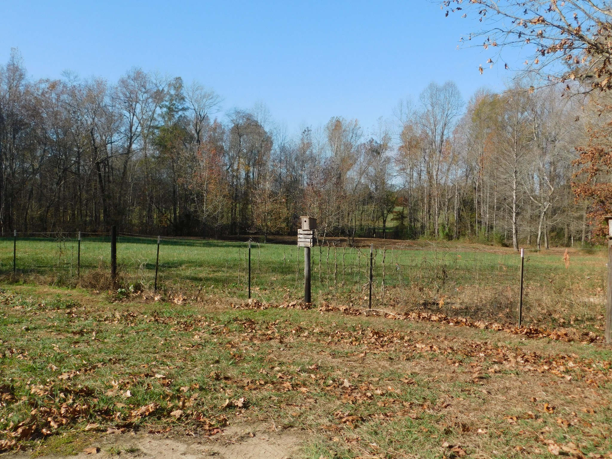 266 Clyde Vickers Road Estill Springs, TN 37330 - Photo 4 of 5 Gallery Image 4