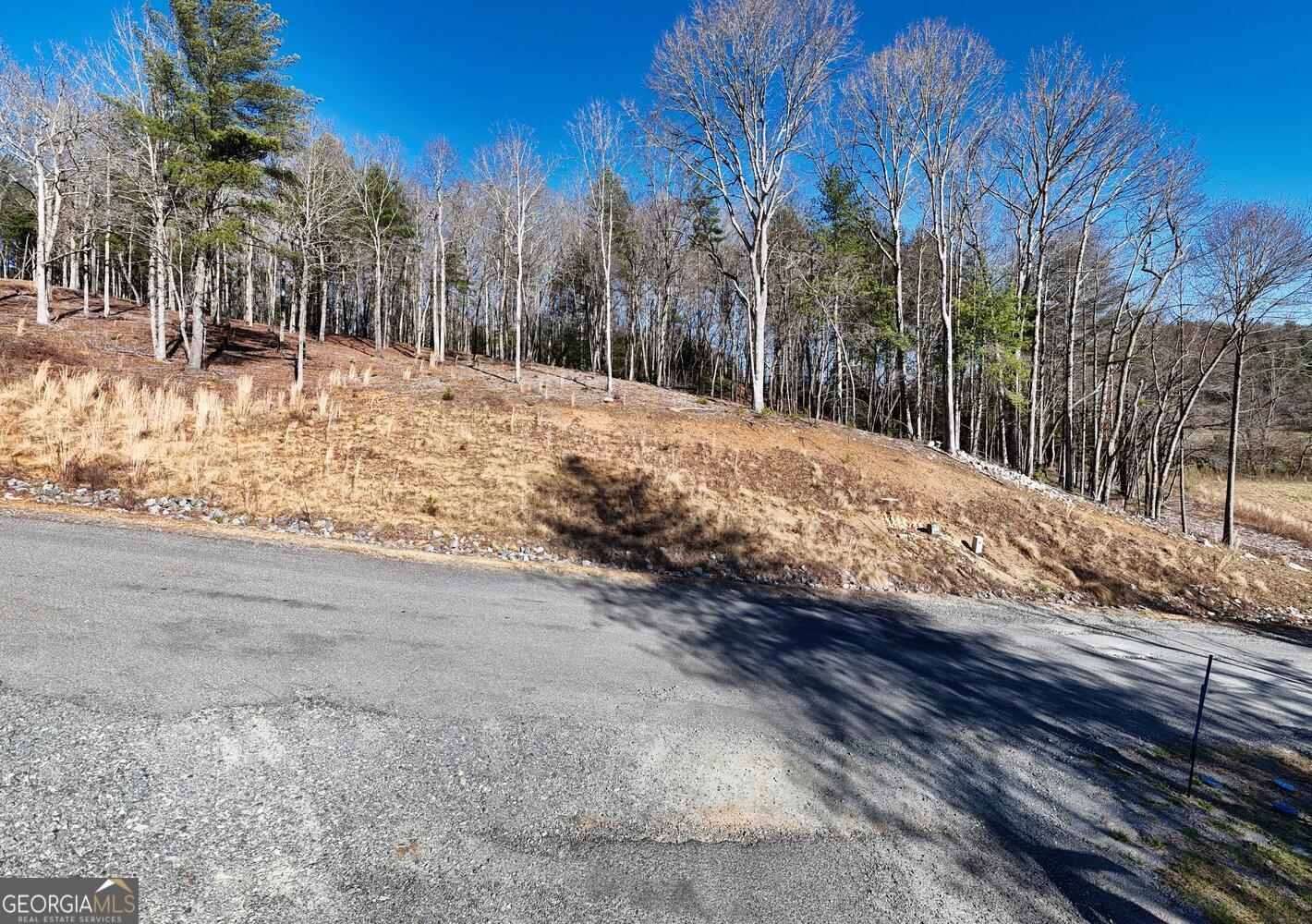 Lot 2 Ridge Drive Morganton, GA 30560 - Photo 3 of 24 a view of side of snow with trees in the background