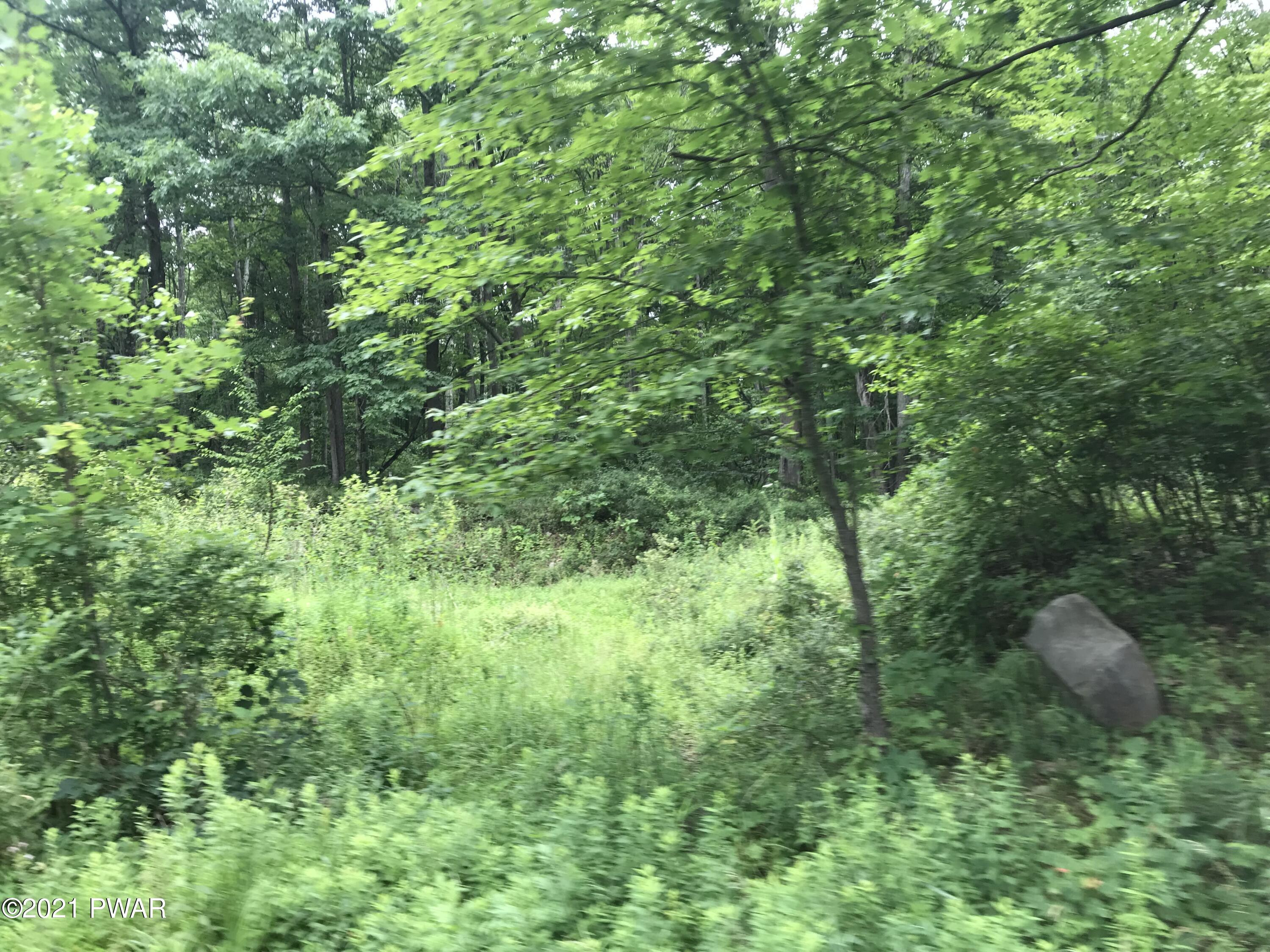 112 Swamp Brook Path Hawley, PA 18428 - Photo 7 of 13 a view of a lush green forest