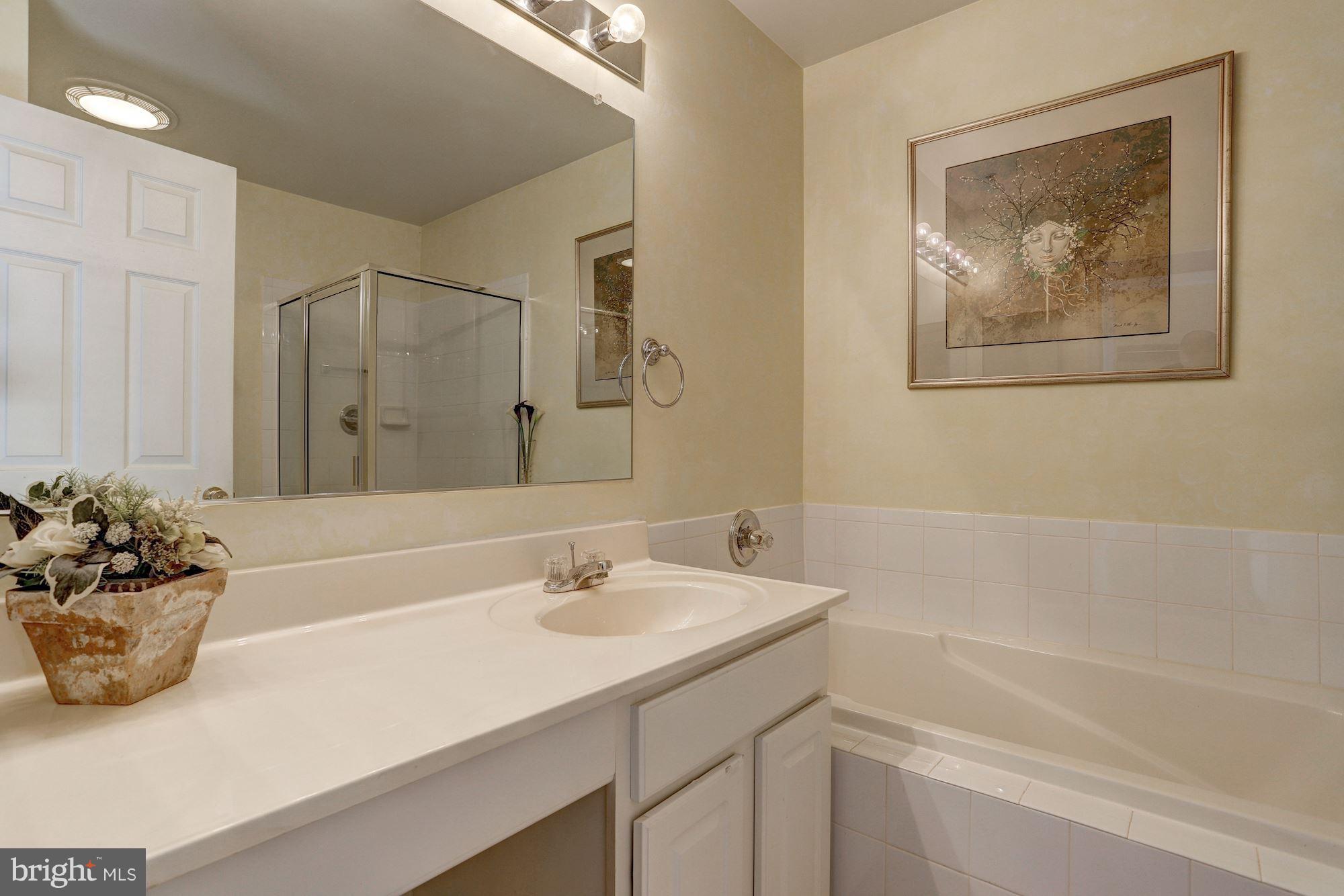 6373 Wind Rider Way Columbia, MD 21045 - Photo 14 of 27 Master Bath