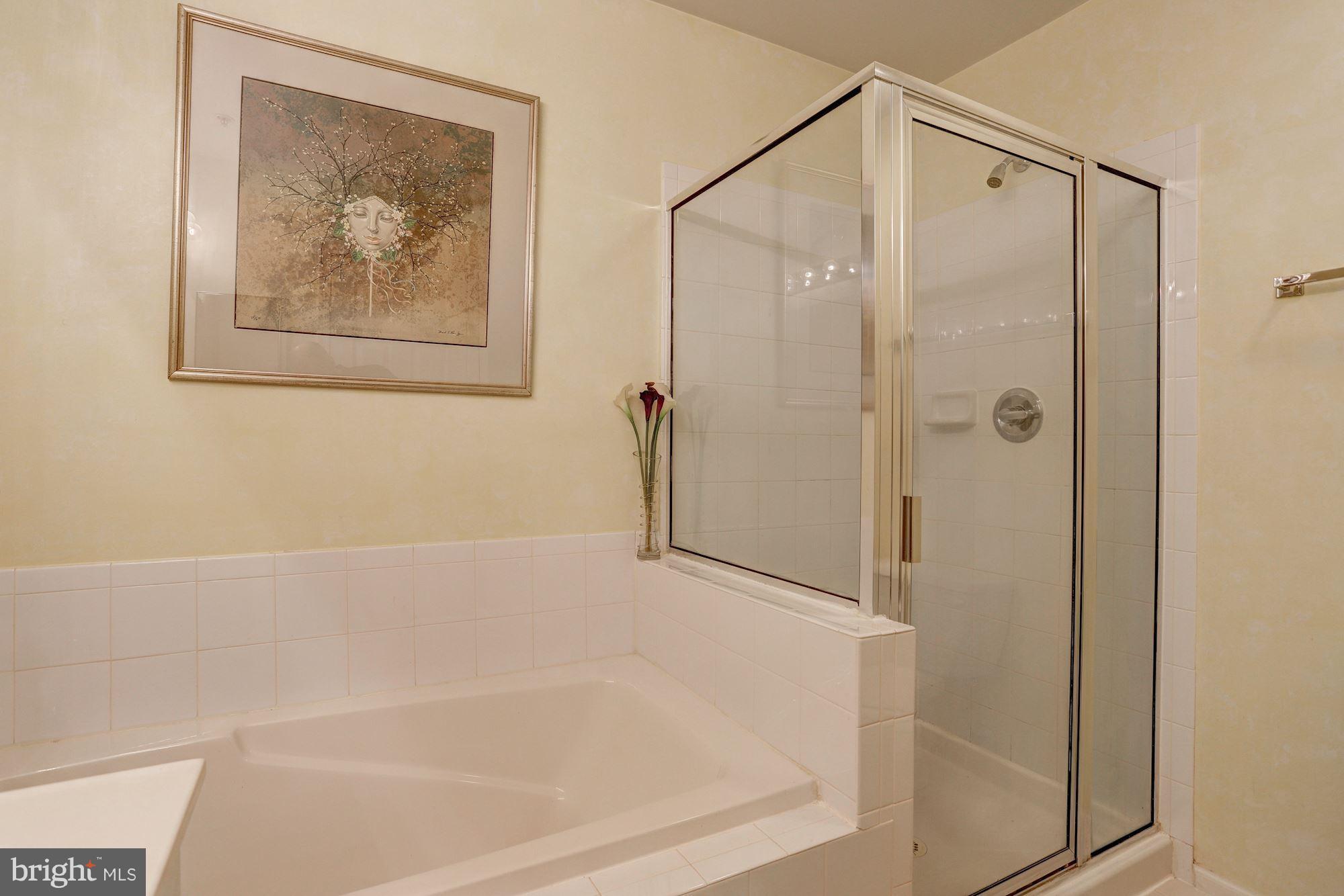 6373 Wind Rider Way Columbia, MD 21045 - Photo 15 of 27 Master Bath