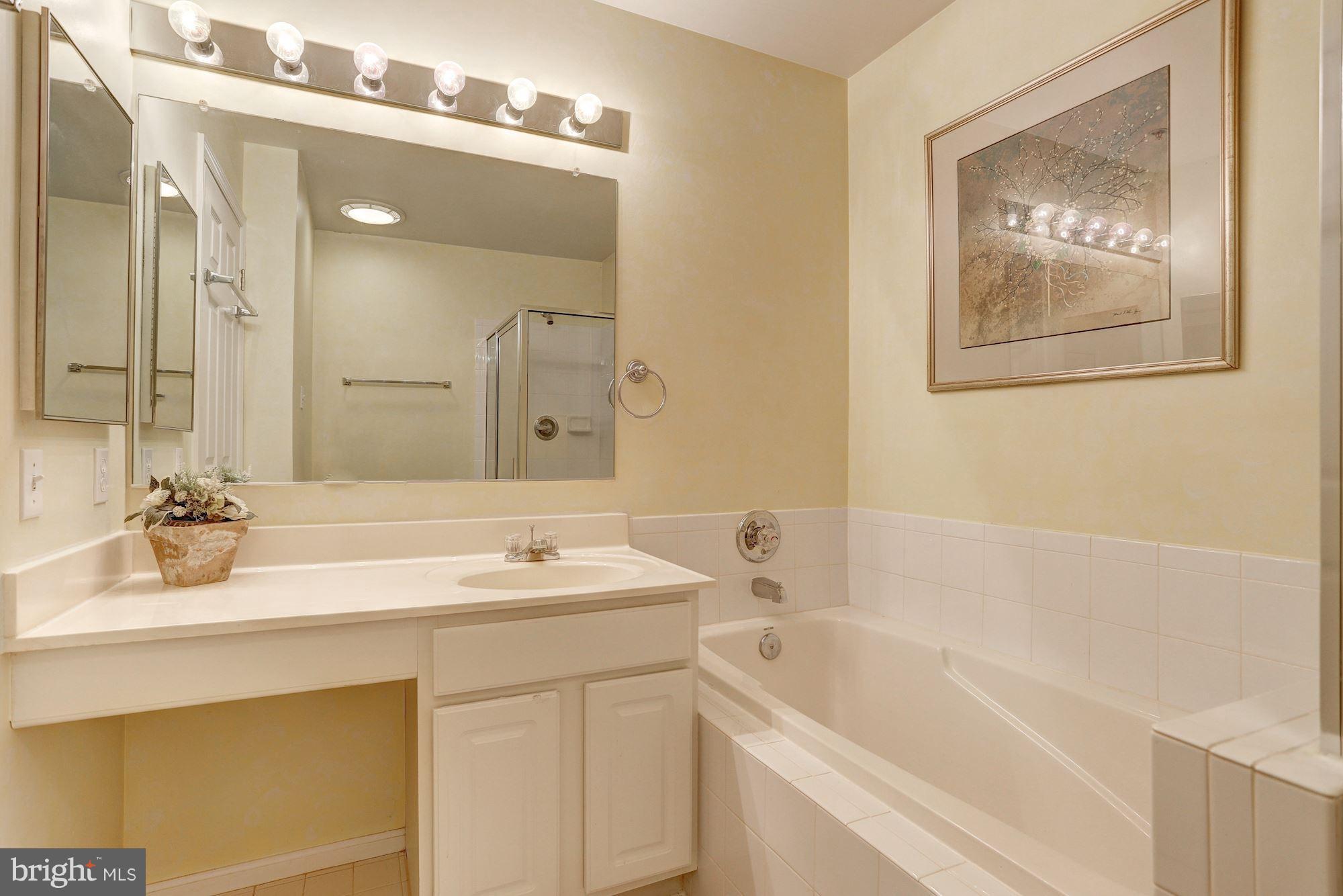 6373 Wind Rider Way Columbia, MD 21045 - Photo 16 of 27 Master Bath